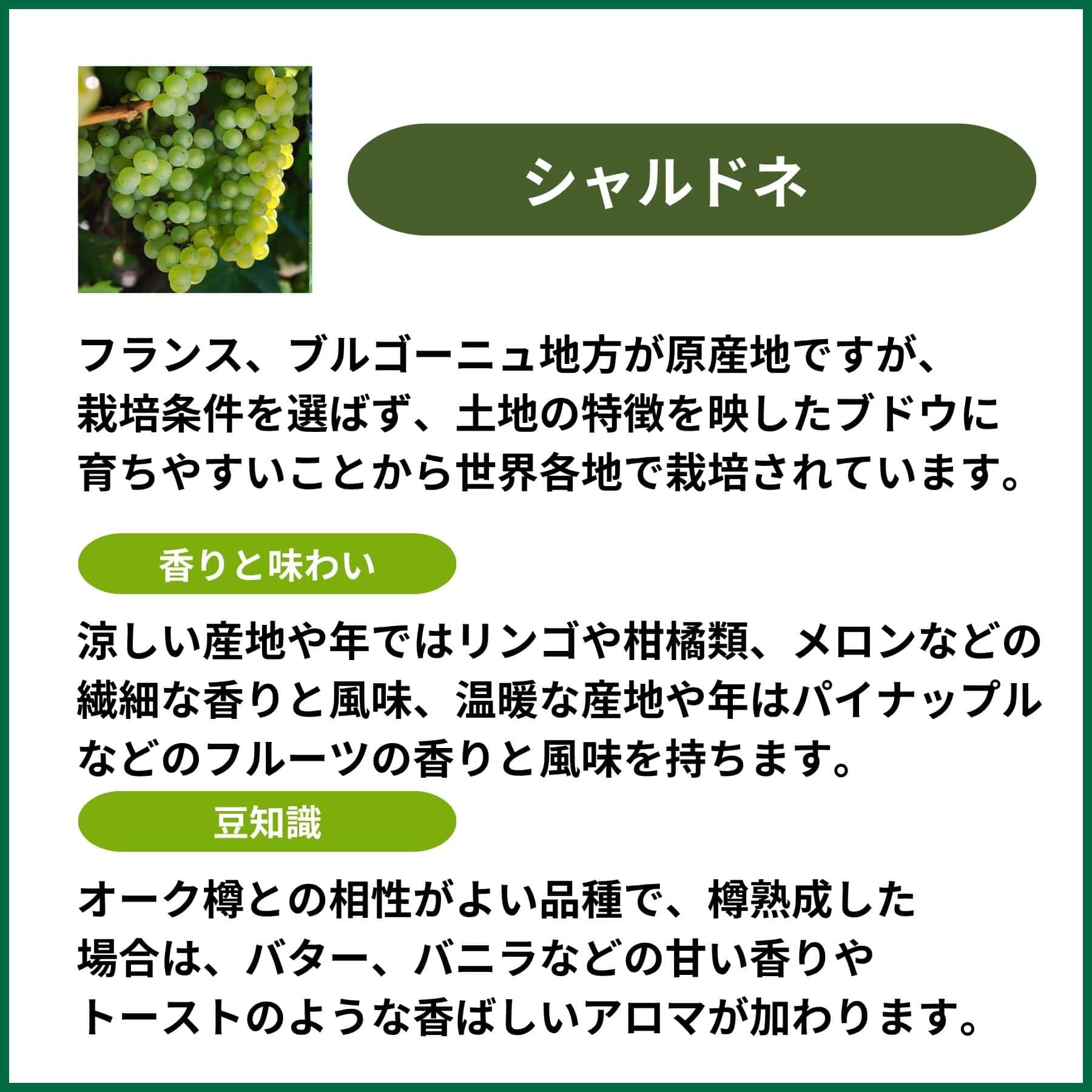 フルーティな白ワイン3本セット シャルドネ