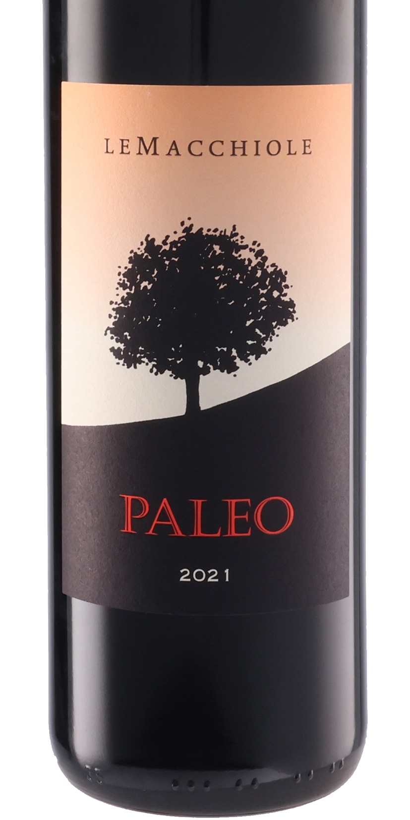 パレオ ロッソ 2021