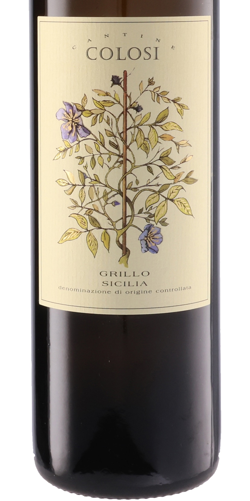 コローシ グリッロ アカシア 2024