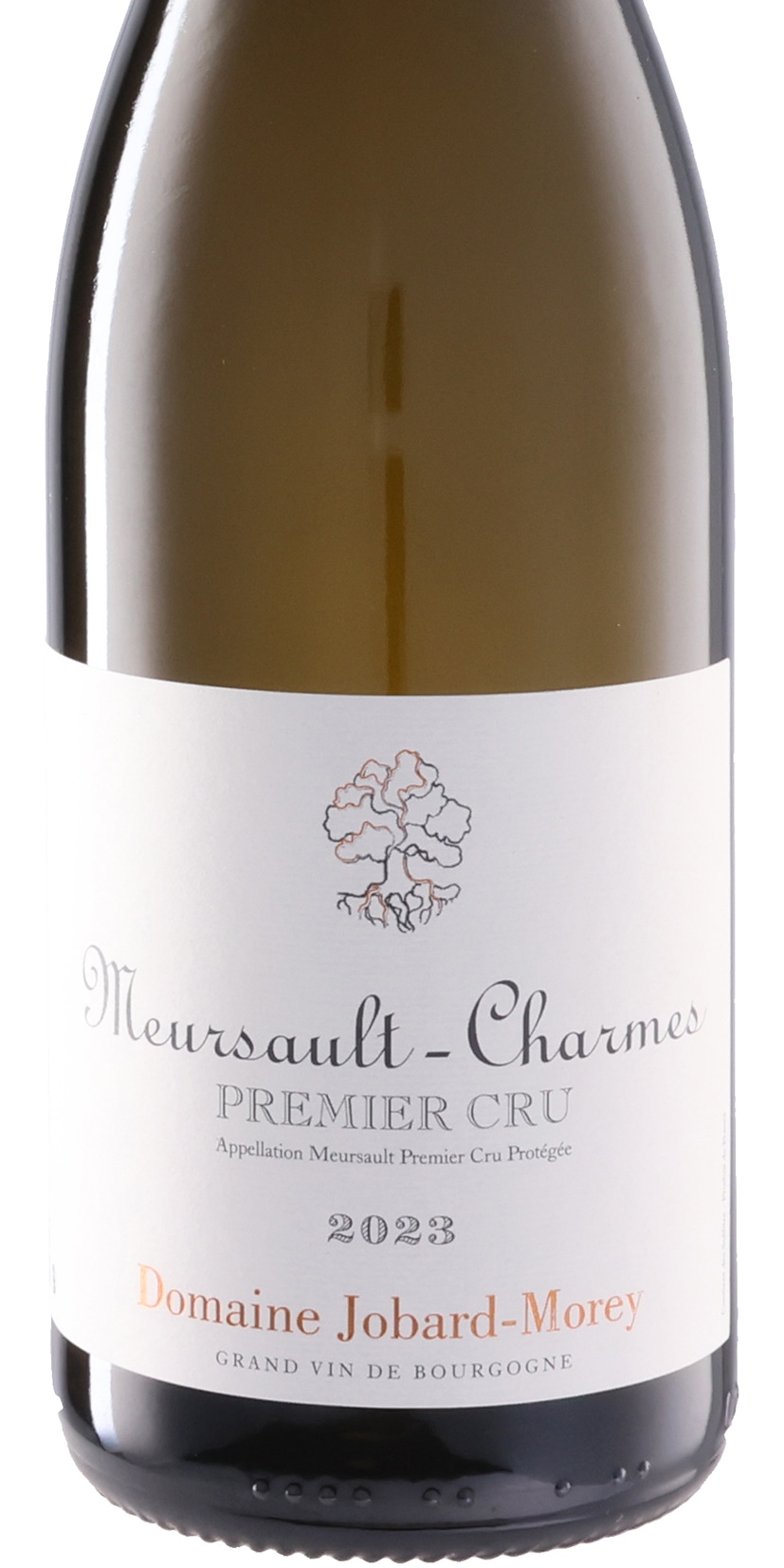 ムルソー プルミエ・クリュ シャルム 2023