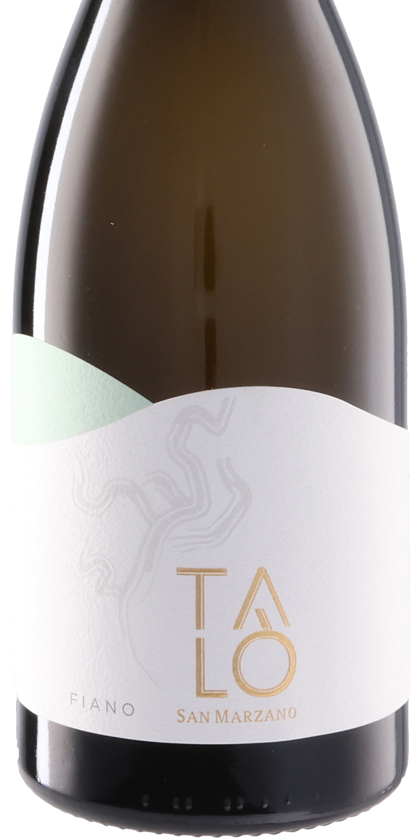 タロ フィアーノ 2025