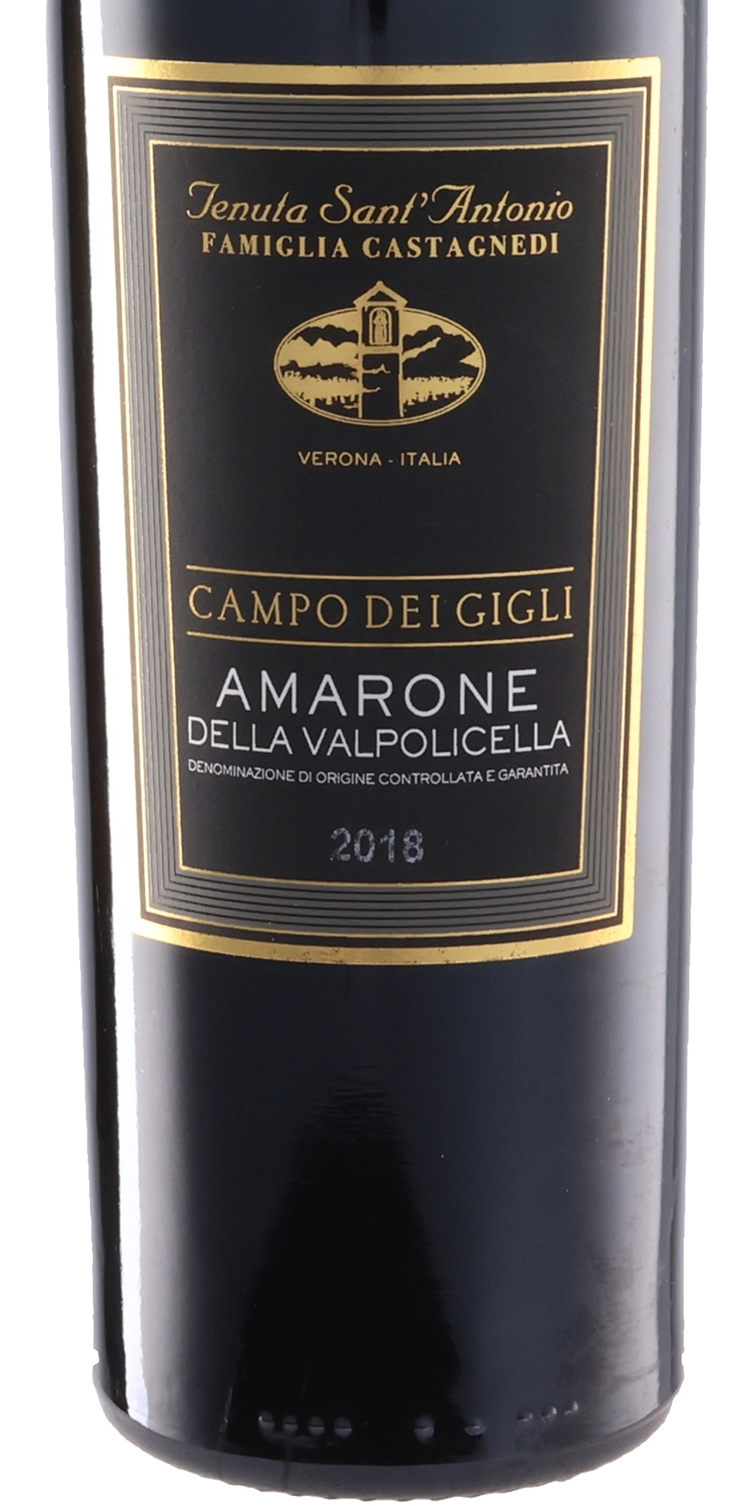 カンポ・デイ・ジーリ アマローネ・デッラ・ヴァルポリチェッラ 2018