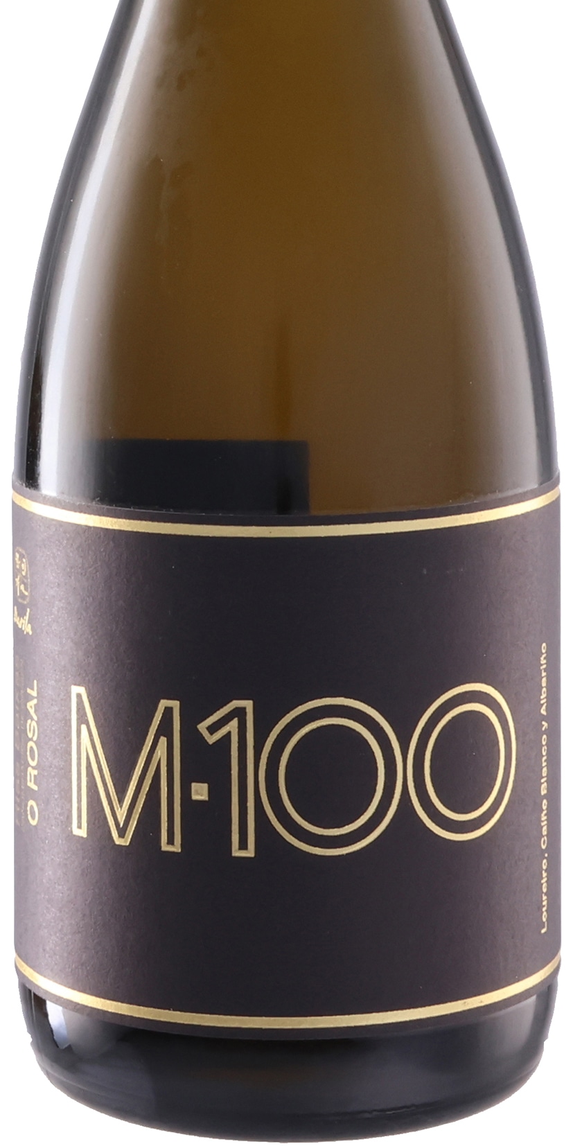 M-100 2022