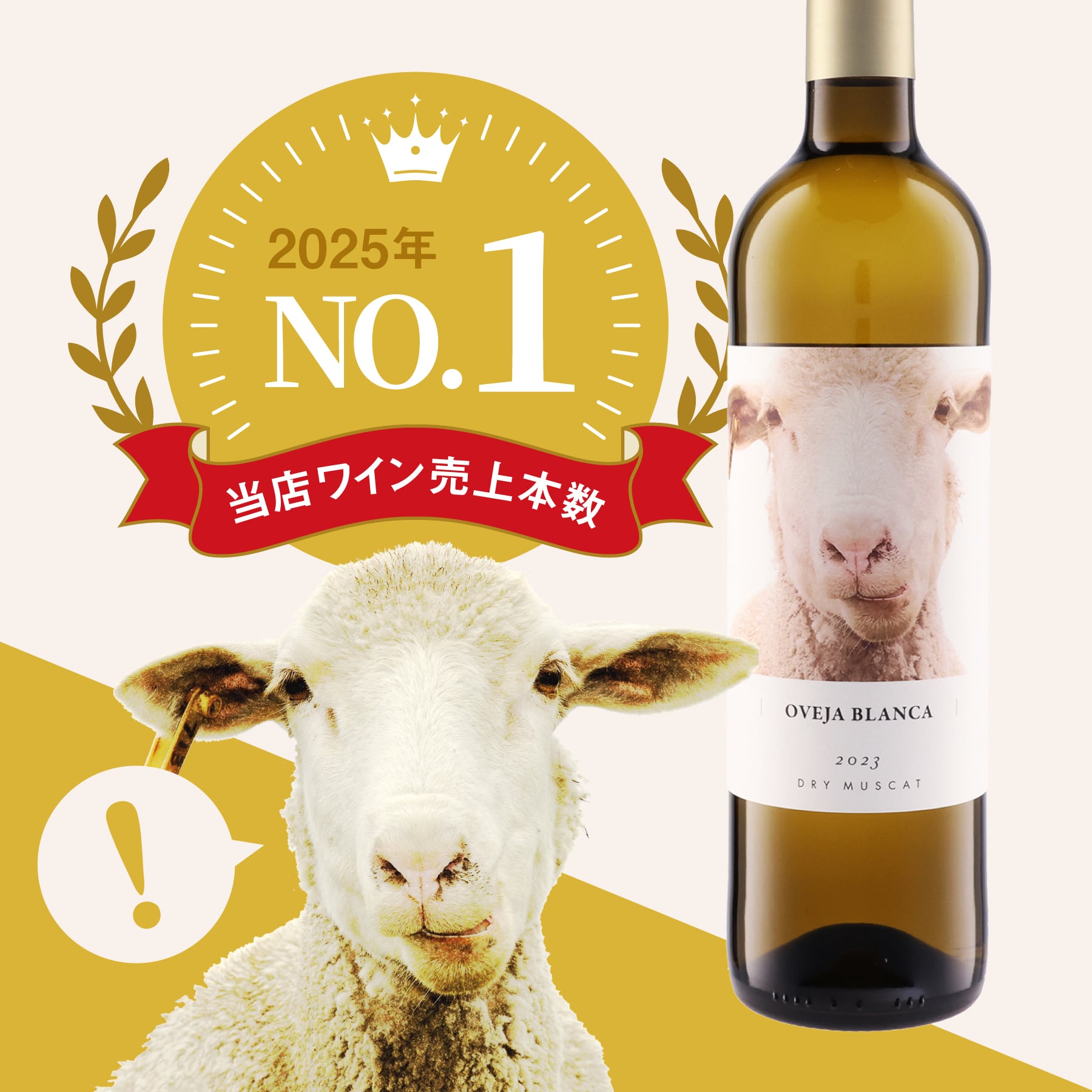 オベハ ブランカ 2024