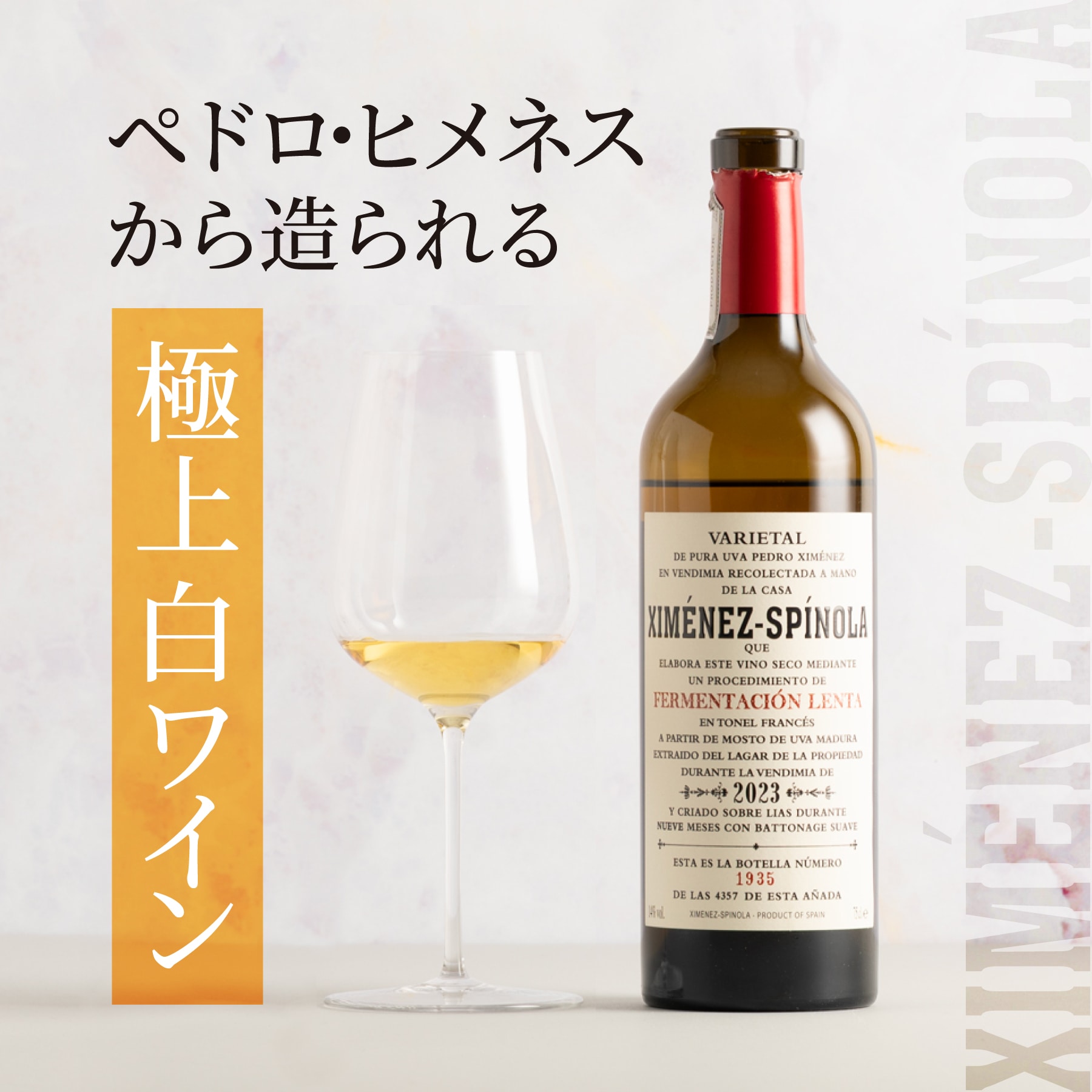 フェルメンタシオン・レンタ 2023