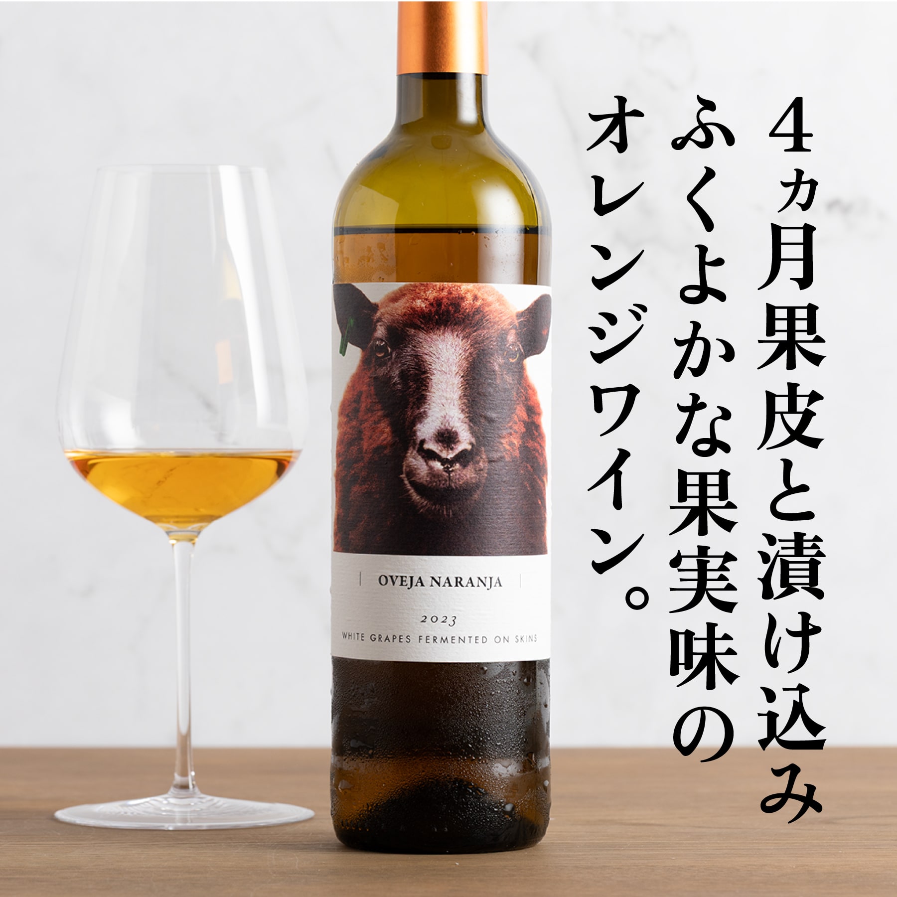 オベハ ナランハ 2023