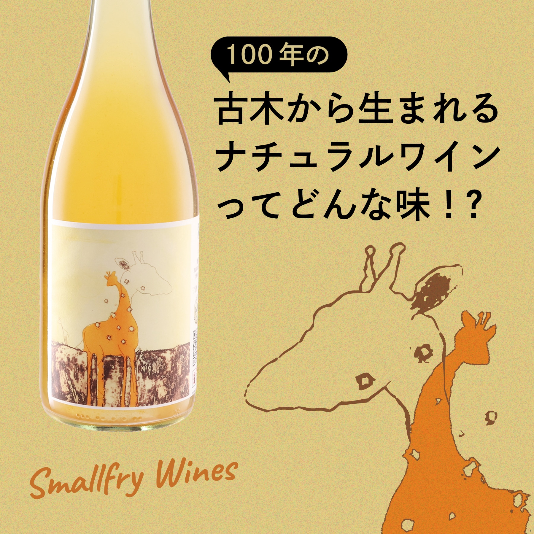 タンジェリン・ドリーム 2023