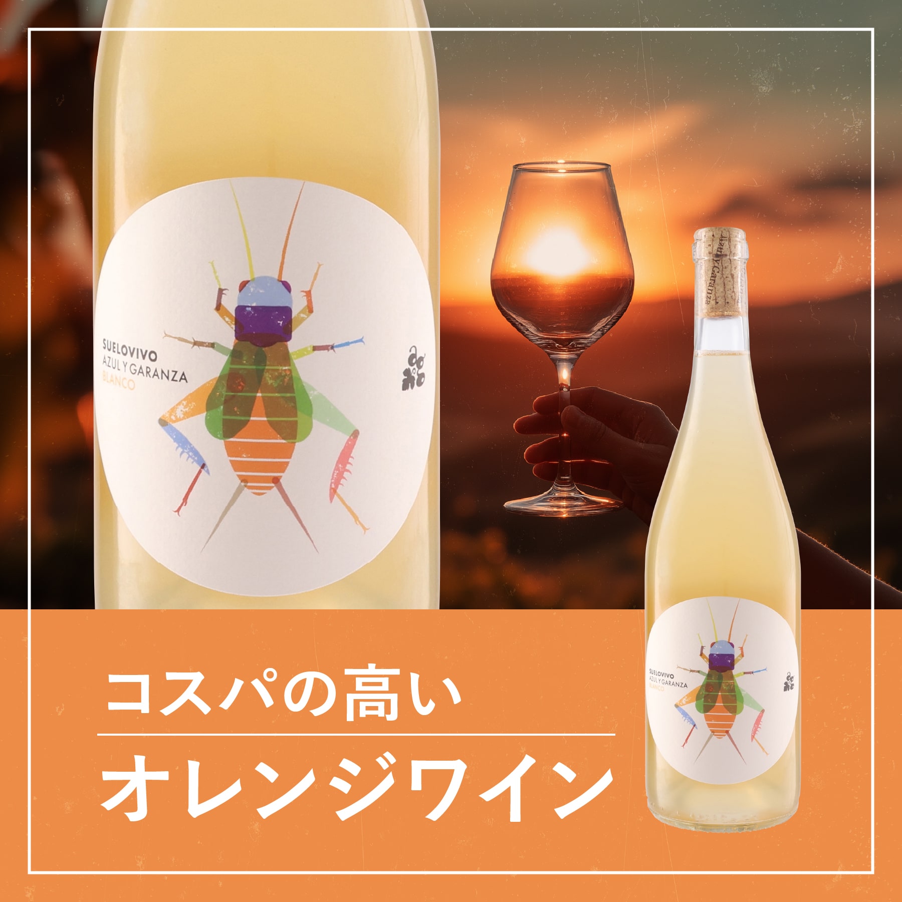 柑橘系の味わいが心地よい スエロ･ヴィヴォ ブランコ