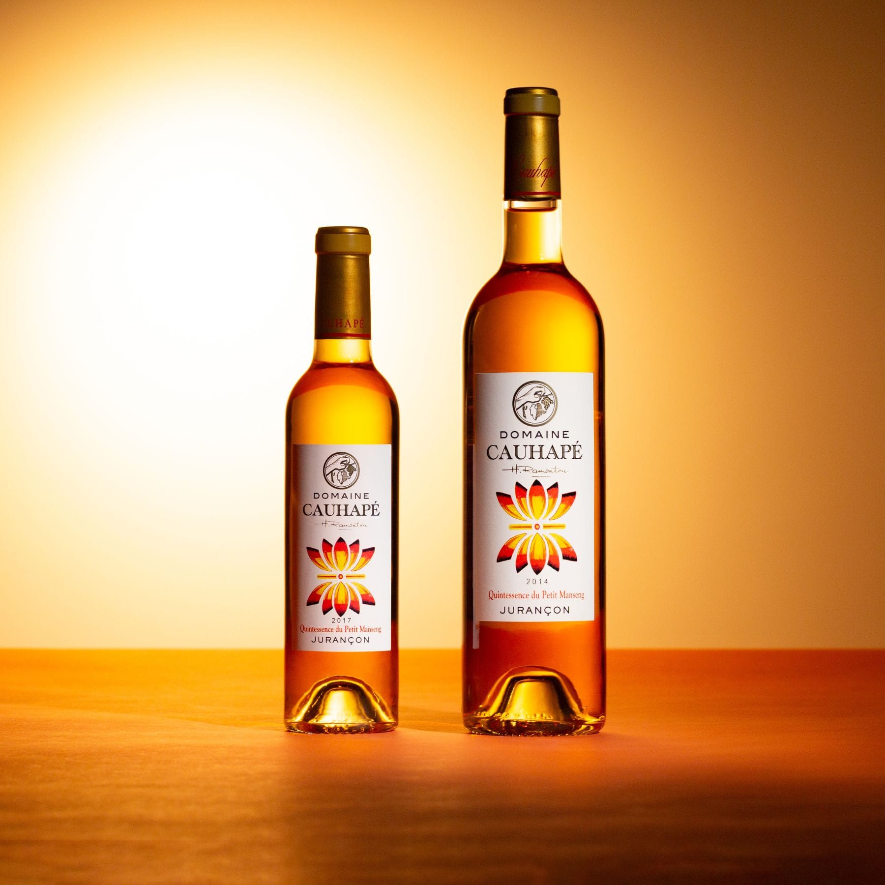 カンテサンス・デュ・プティ・マンサン ジュランソン・モワルー ハーフ 2017