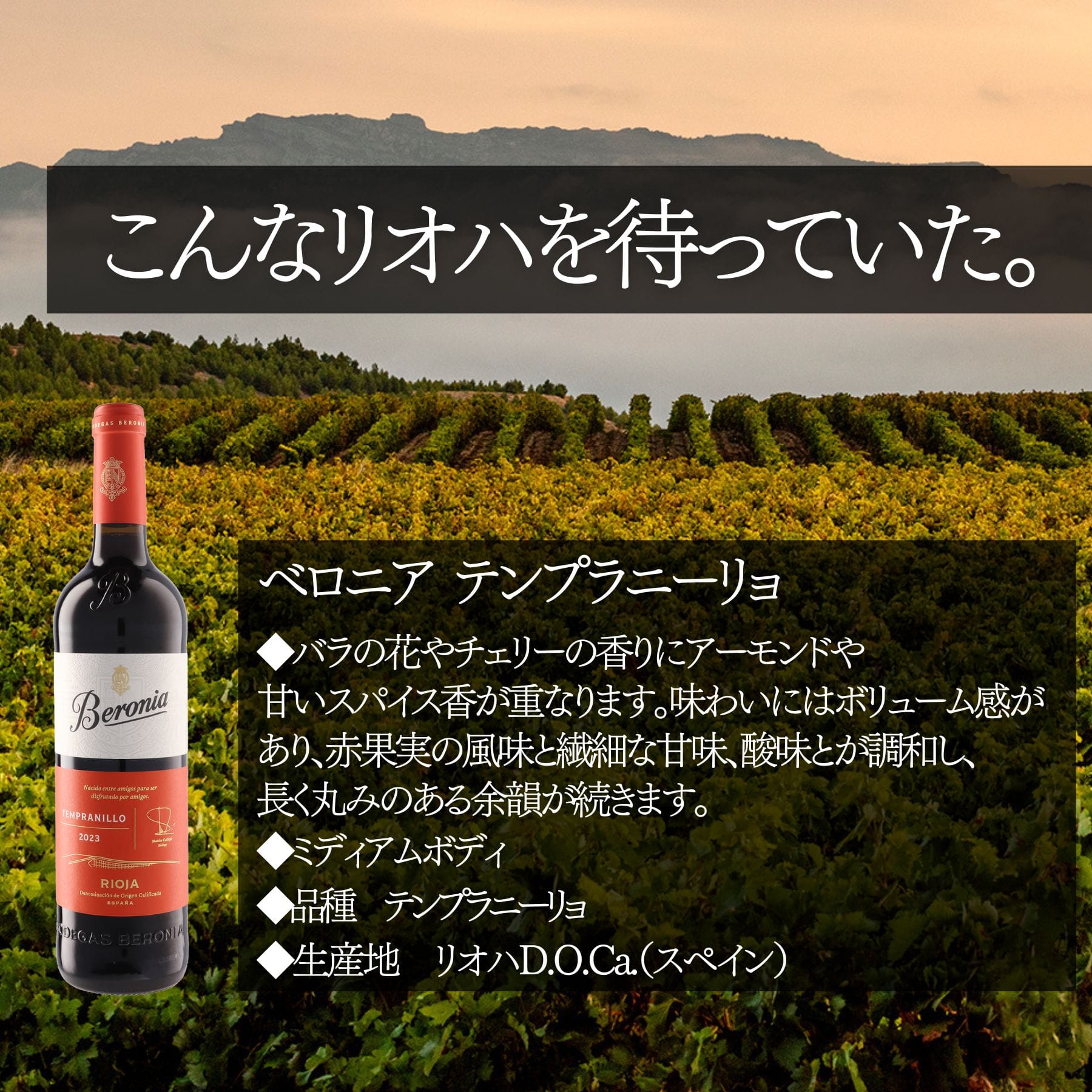 この価格でこの味わいは素晴らしい!とソムリエたちをうならせた赤ワインセット