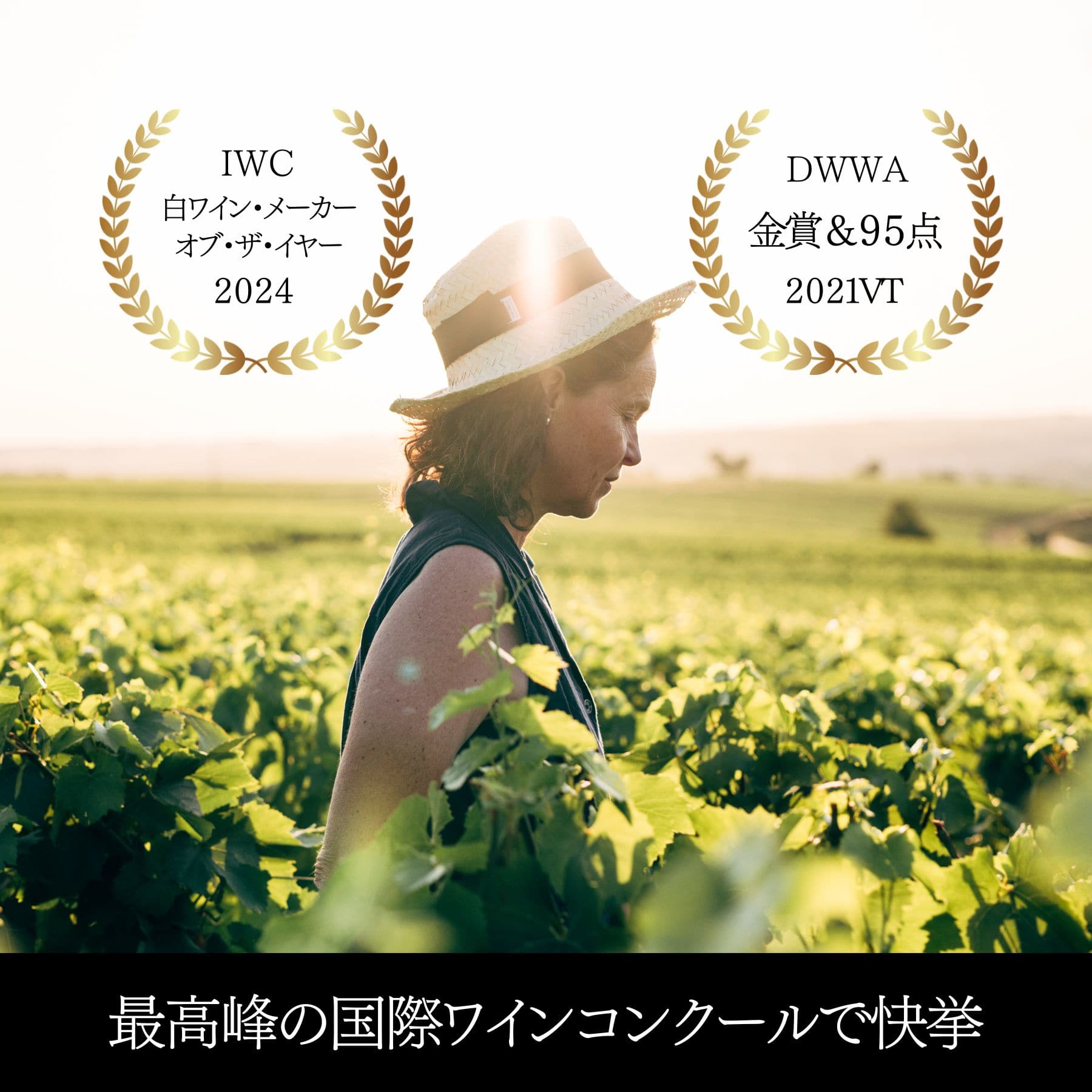 シャブリ ラ・ピエレレ 2022