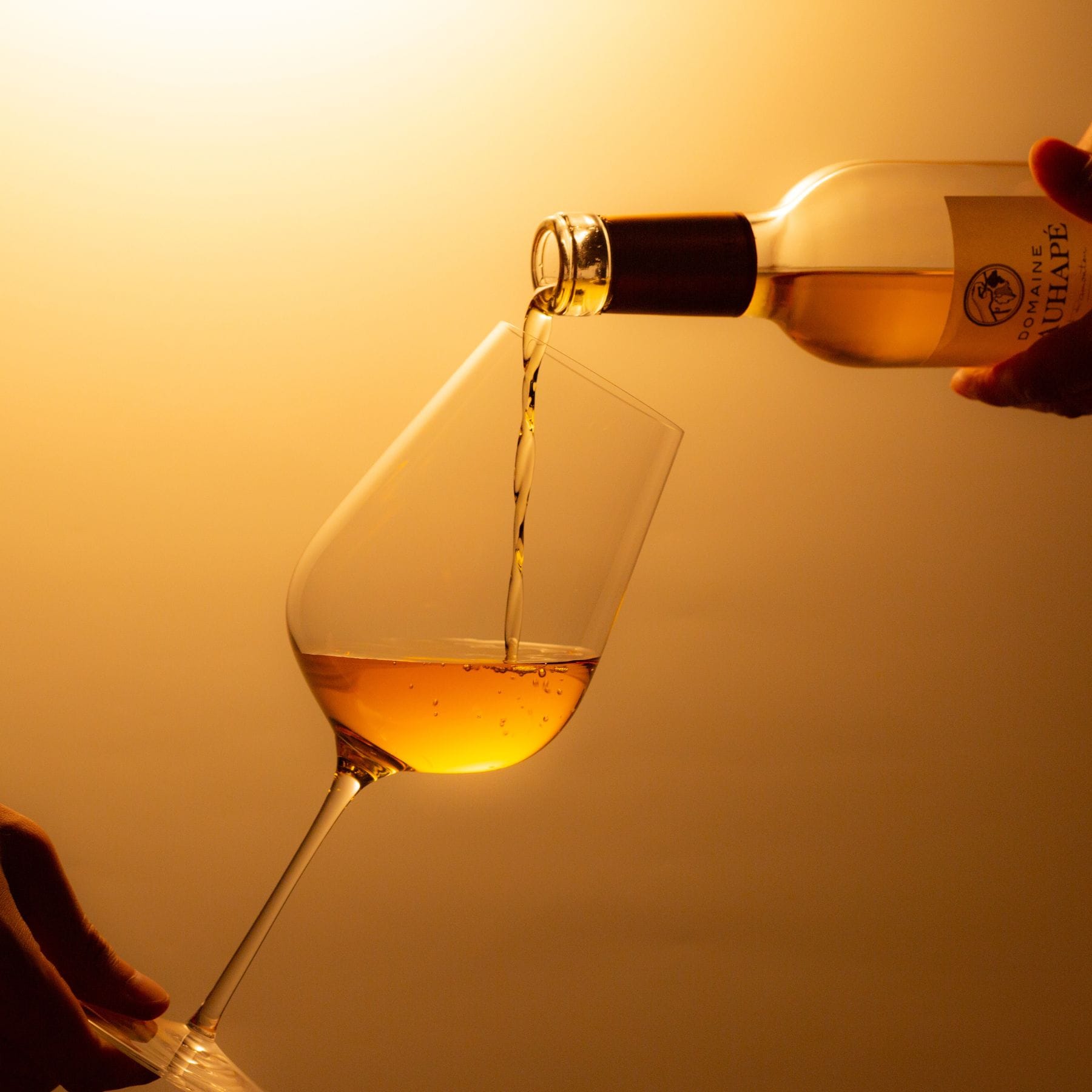 カンテサンス・デュ・プティ・マンサン ジュランソン・モワルー ハーフ 2017