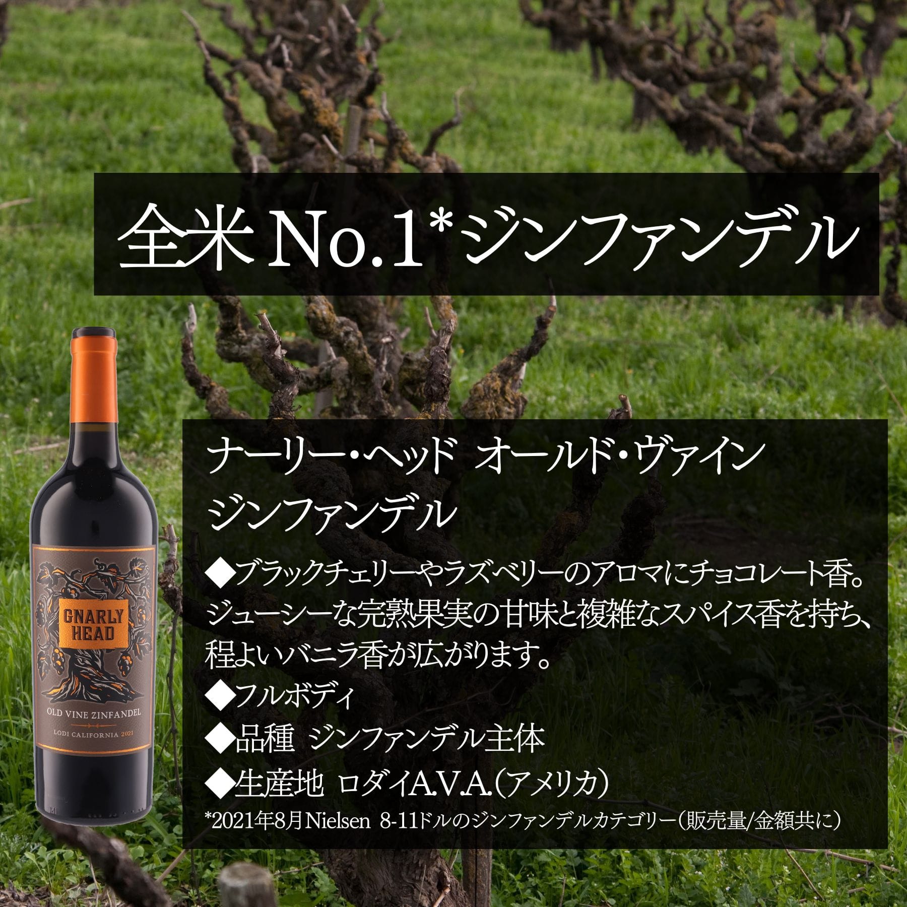 この価格でこの味わいは素晴らしい!とソムリエたちをうならせた赤ワインセット