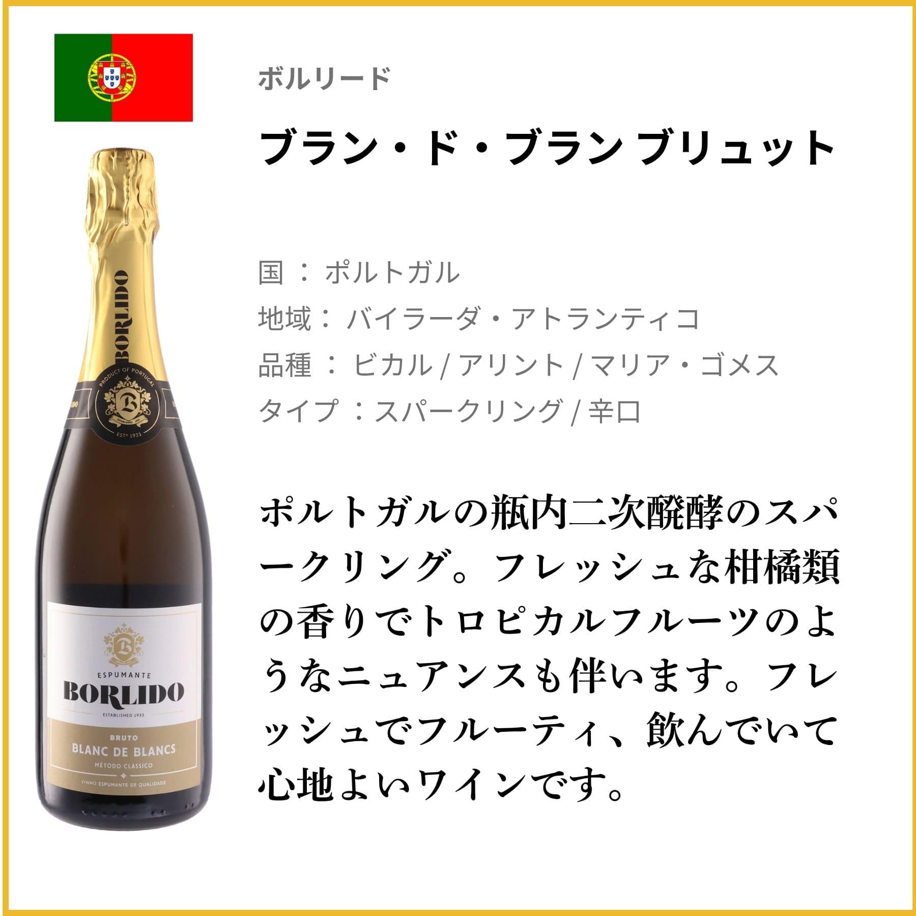 ソムリエ100人がブラインド試飲で選んだ!コスパ抜群の赤・白・泡9本セット