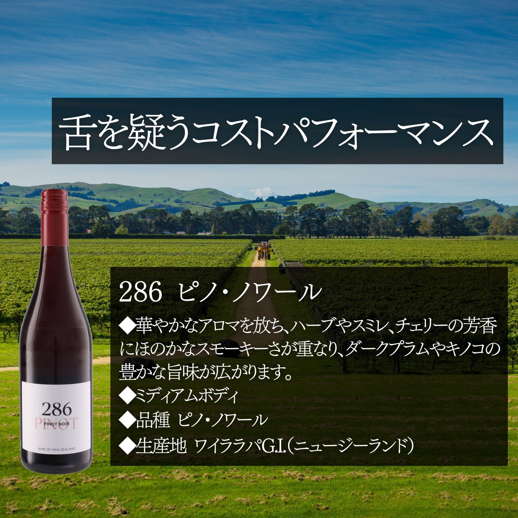 この価格でこの味わいは素晴らしい!とソムリエたちをうならせた赤ワインセット