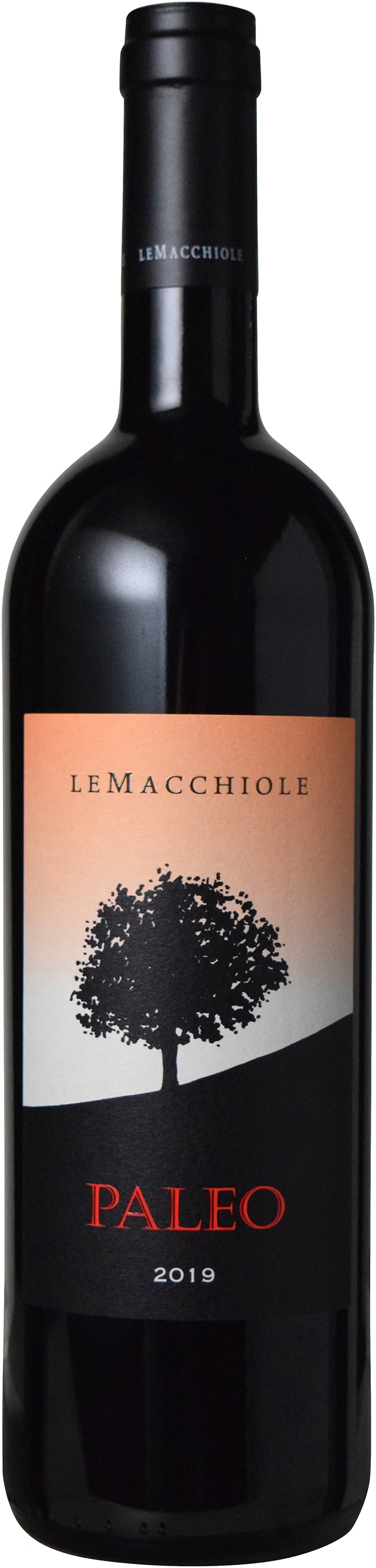 パレオ ロッソ 2019