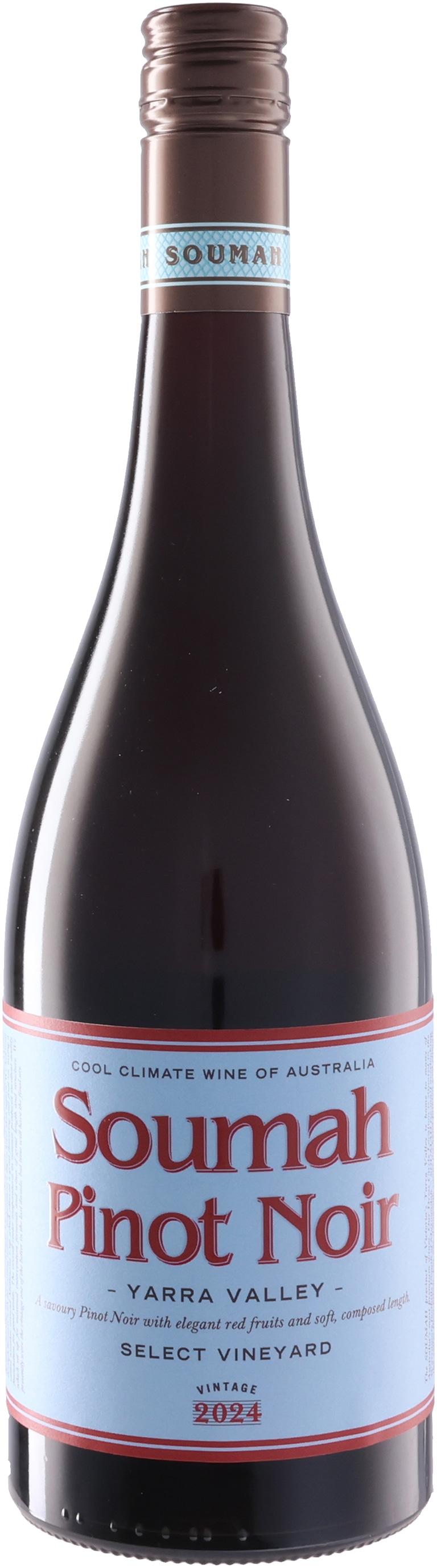 ピノ･ノワール･ディ･ソウマ(2023)