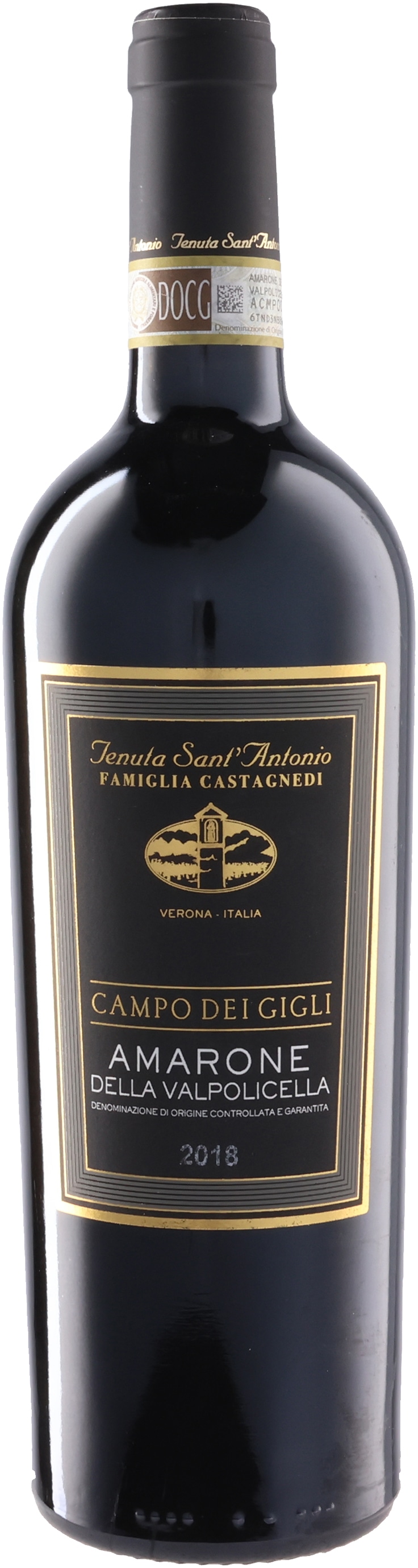 カンポ・デイ・ジーリ アマローネ・デッラ・ヴァルポリチェッラ 2018