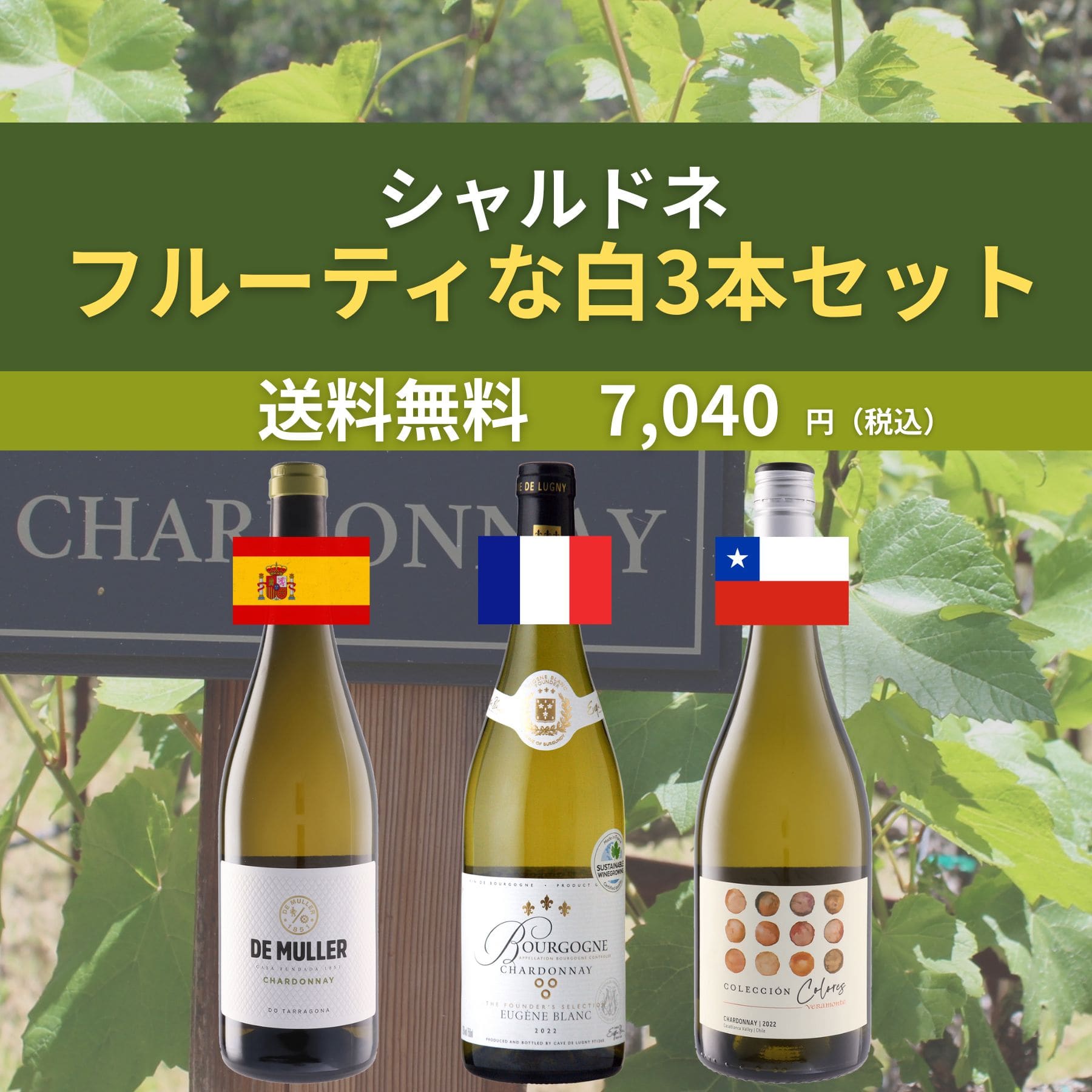 フルーティな白ワイン3本セット シャルドネ