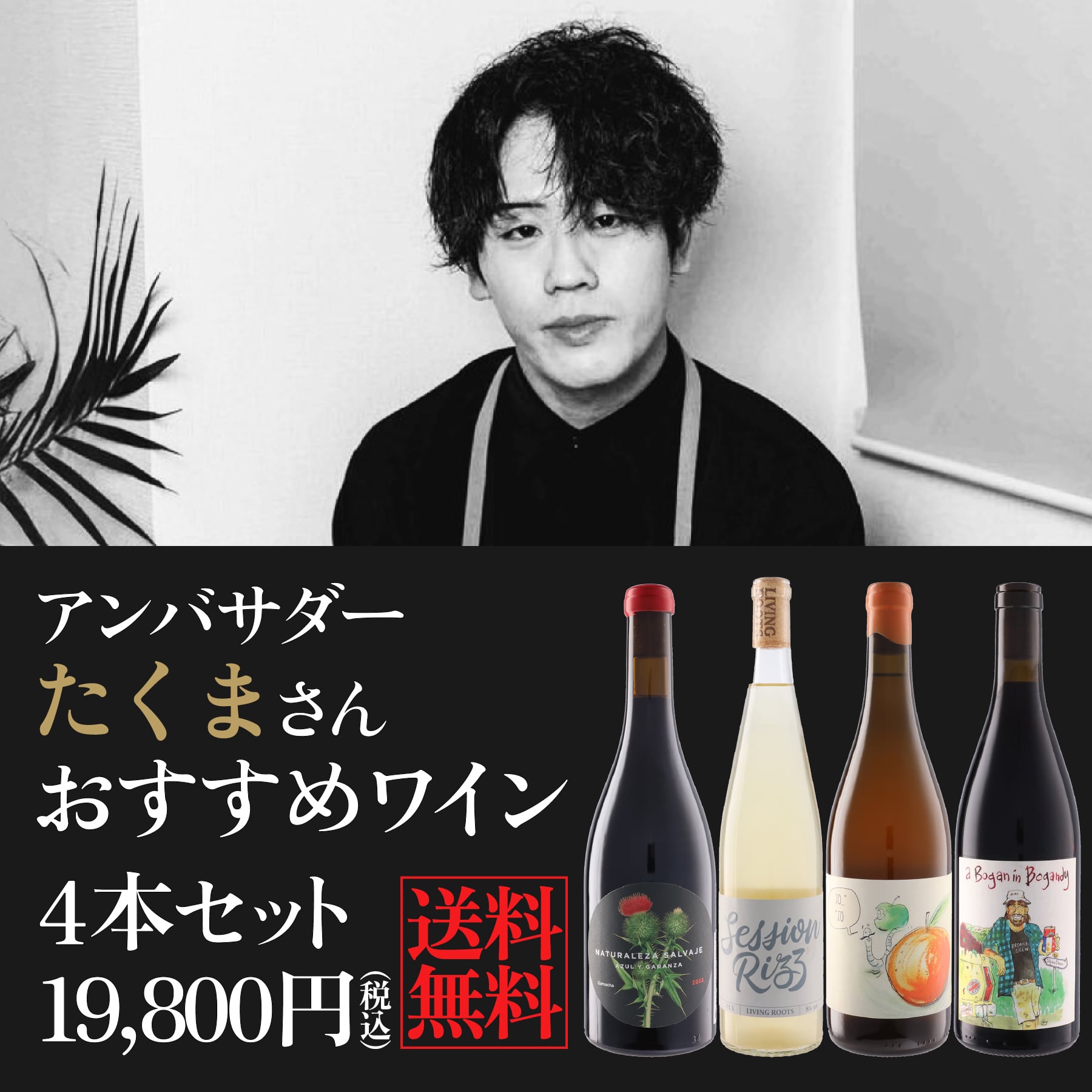 モトックス公式ワインアンバサダー たくまさん おすすめワイン4本セット