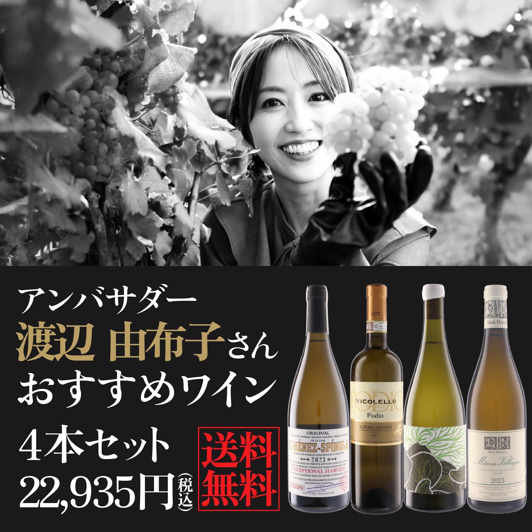 モトックス公式アンバサダー 渡辺 由布子さん おすすめワイン4本セット