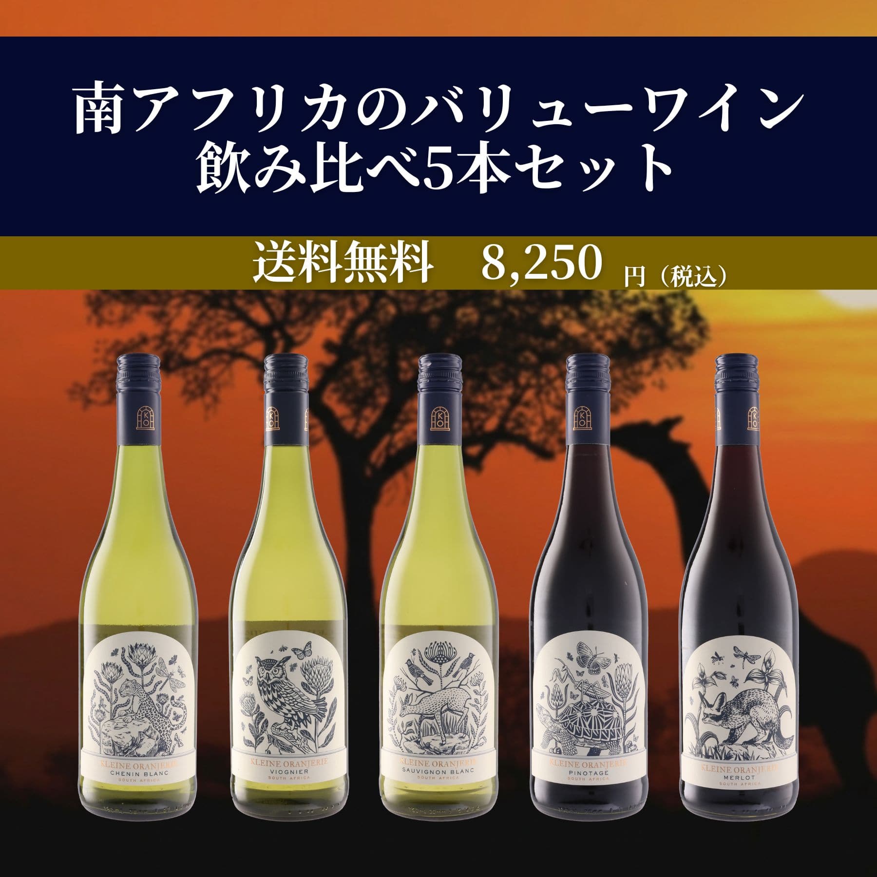 南アフリカのバリューワイン 飲み比べ5本セット