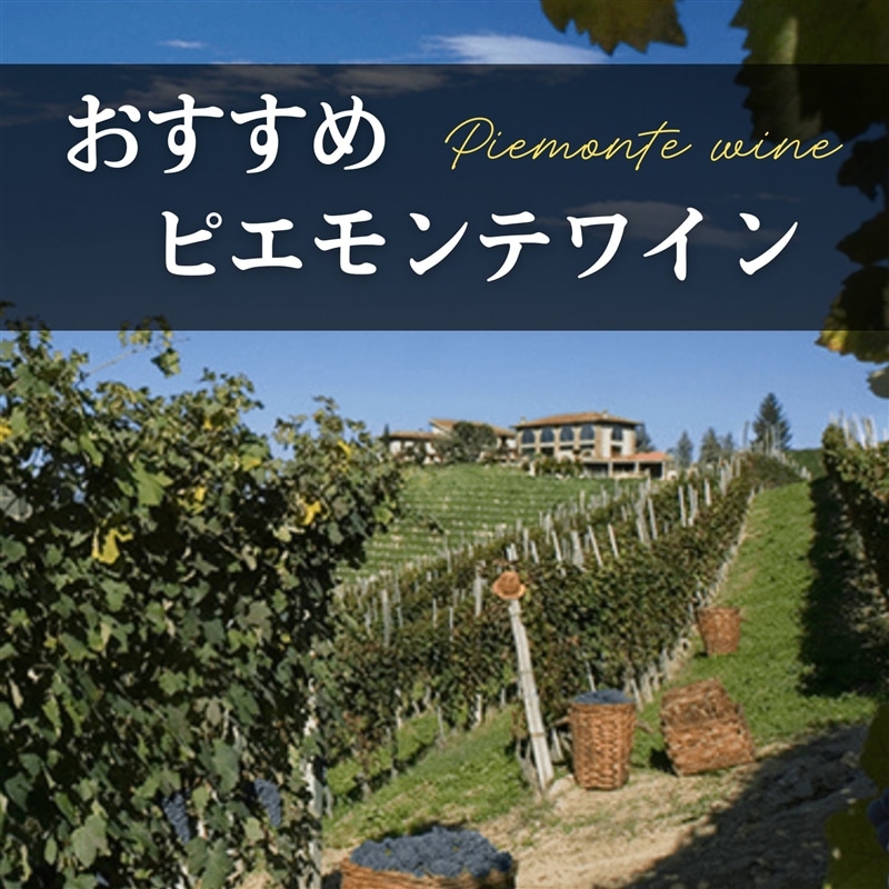 おすすめピエモンテ州のワイン