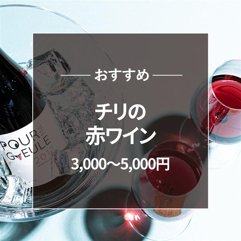 おすすめ チリ赤ワイン3000~5000円