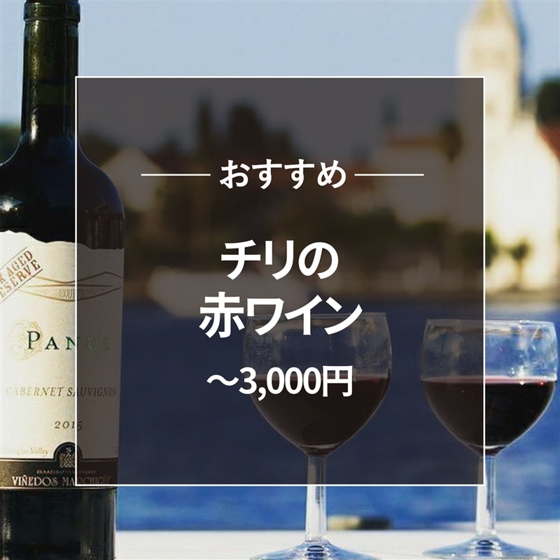 おすすめ チリ赤ワイン~3000円