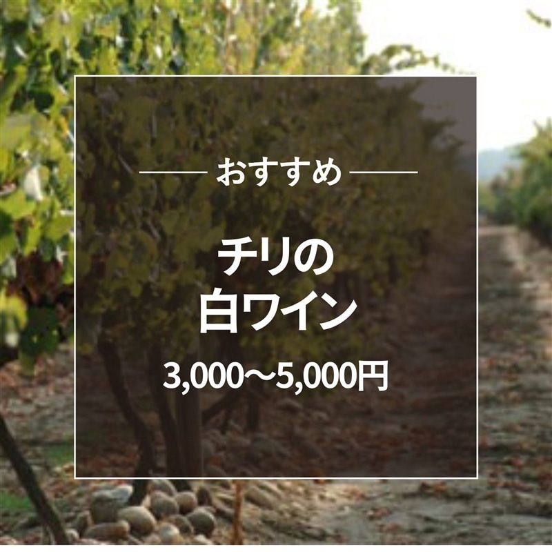 おすすめ チリ白ワイン3000~5000円