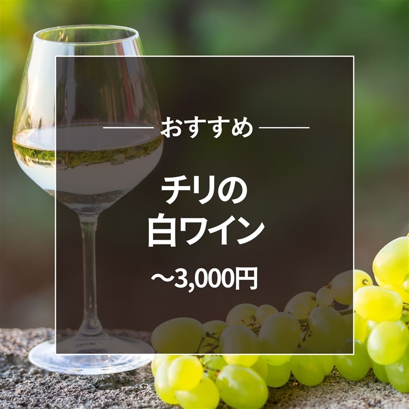 おすすめ チリ白ワイン~3000円