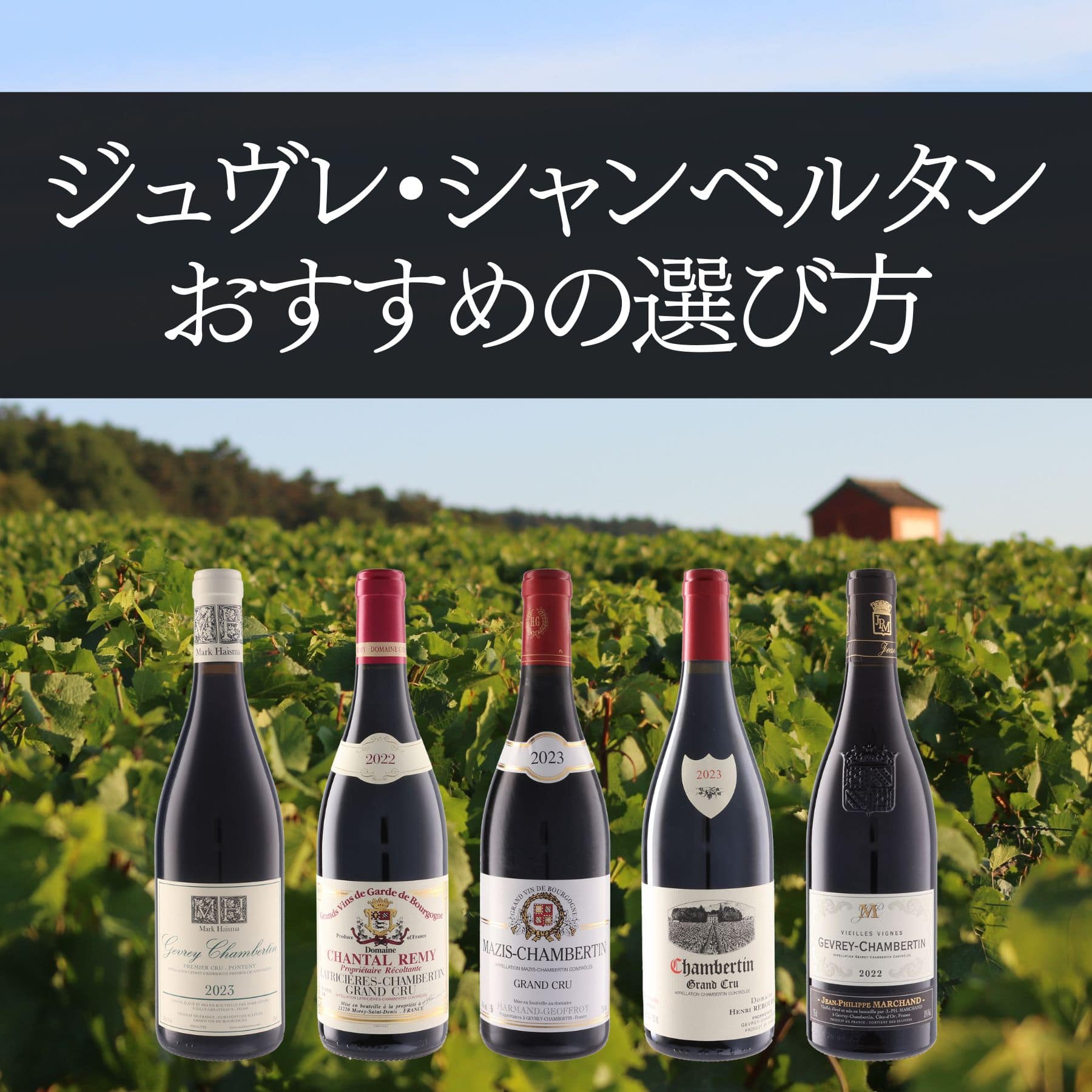 ジュヴレ・シャンベルタンの特徴とおすすめの選び方