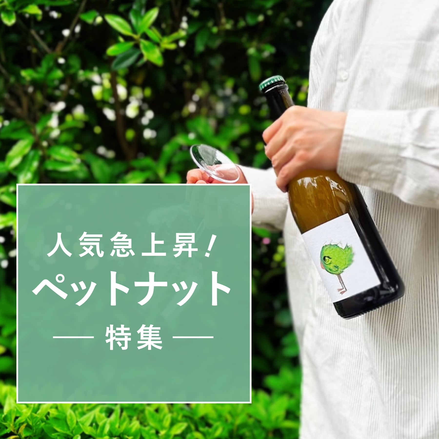 人気急上昇中！ペットナット特集