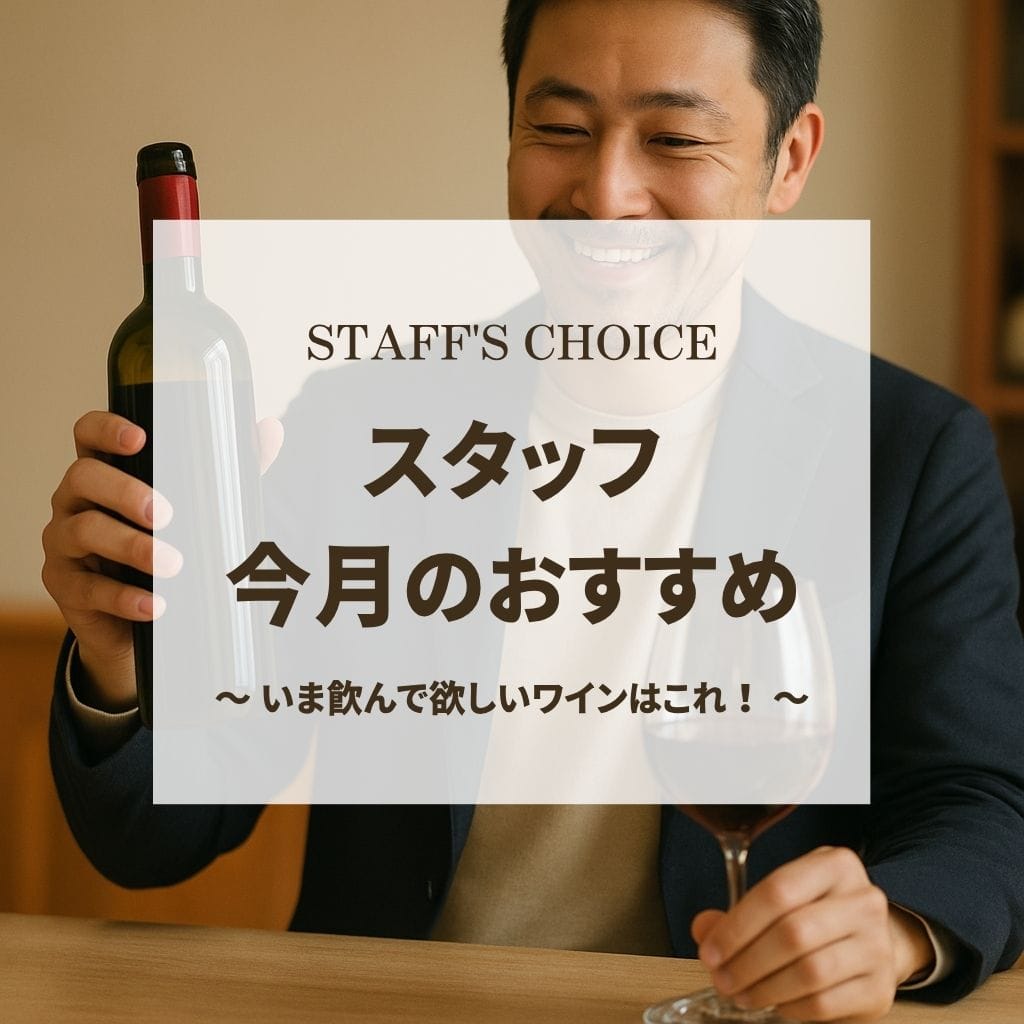今月のスタッフおすすめ！