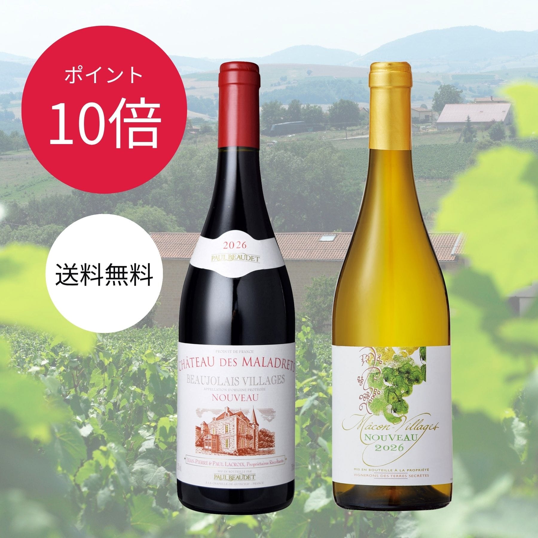  赤白セット