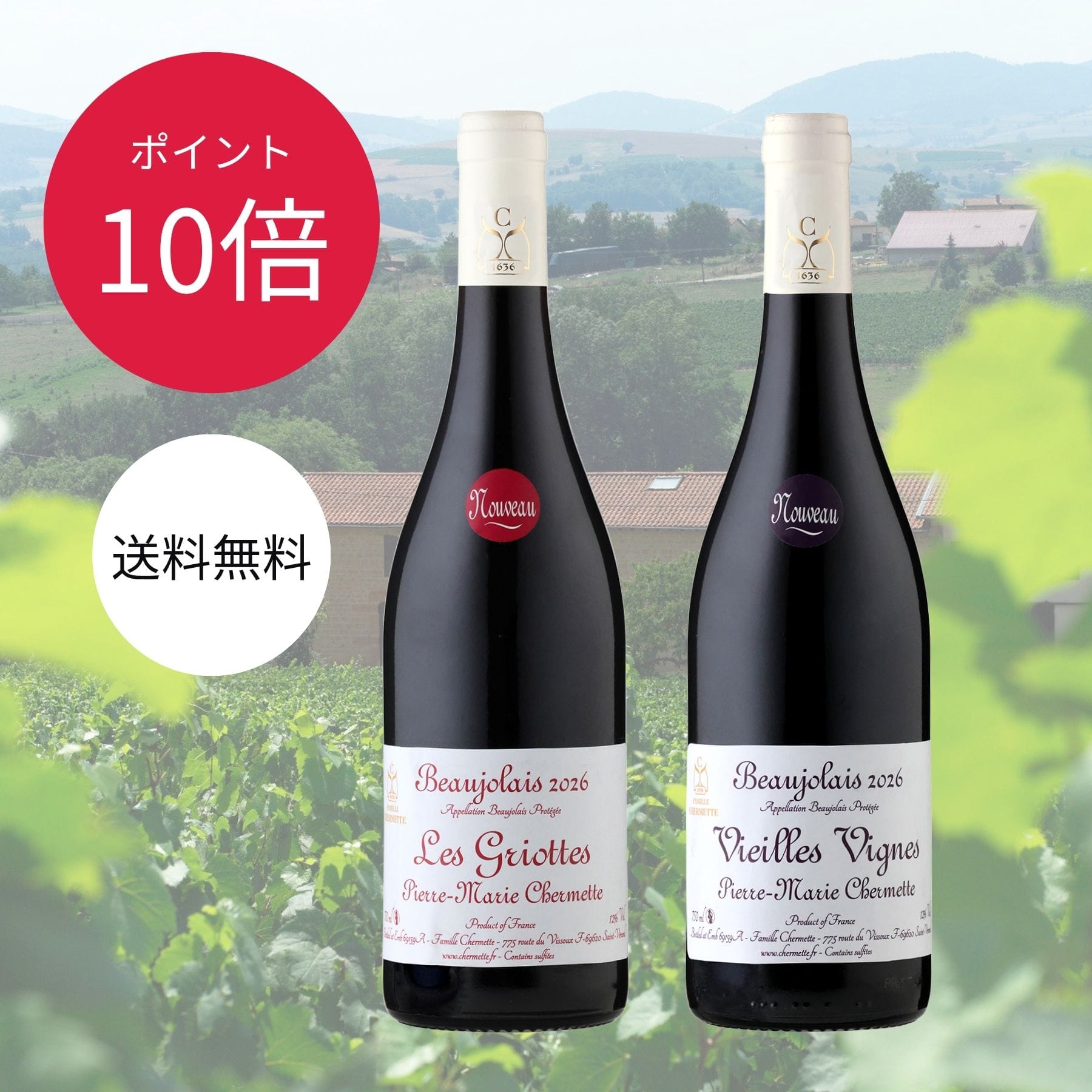  シェルメット2本セット