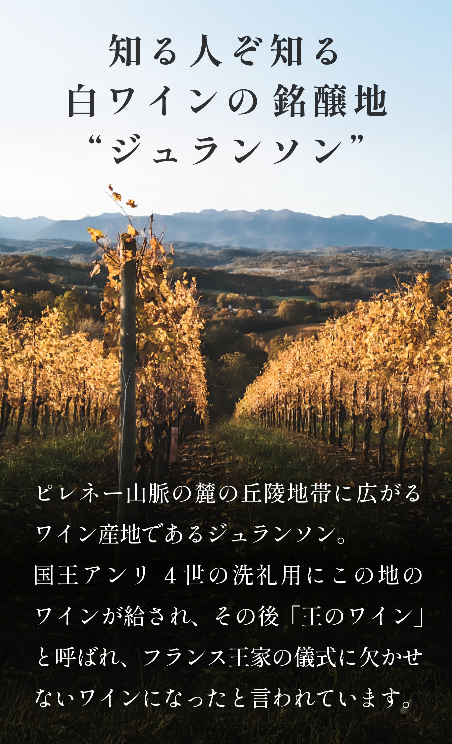知る人ぞ知る白ワインの銘醸地ジュランソン