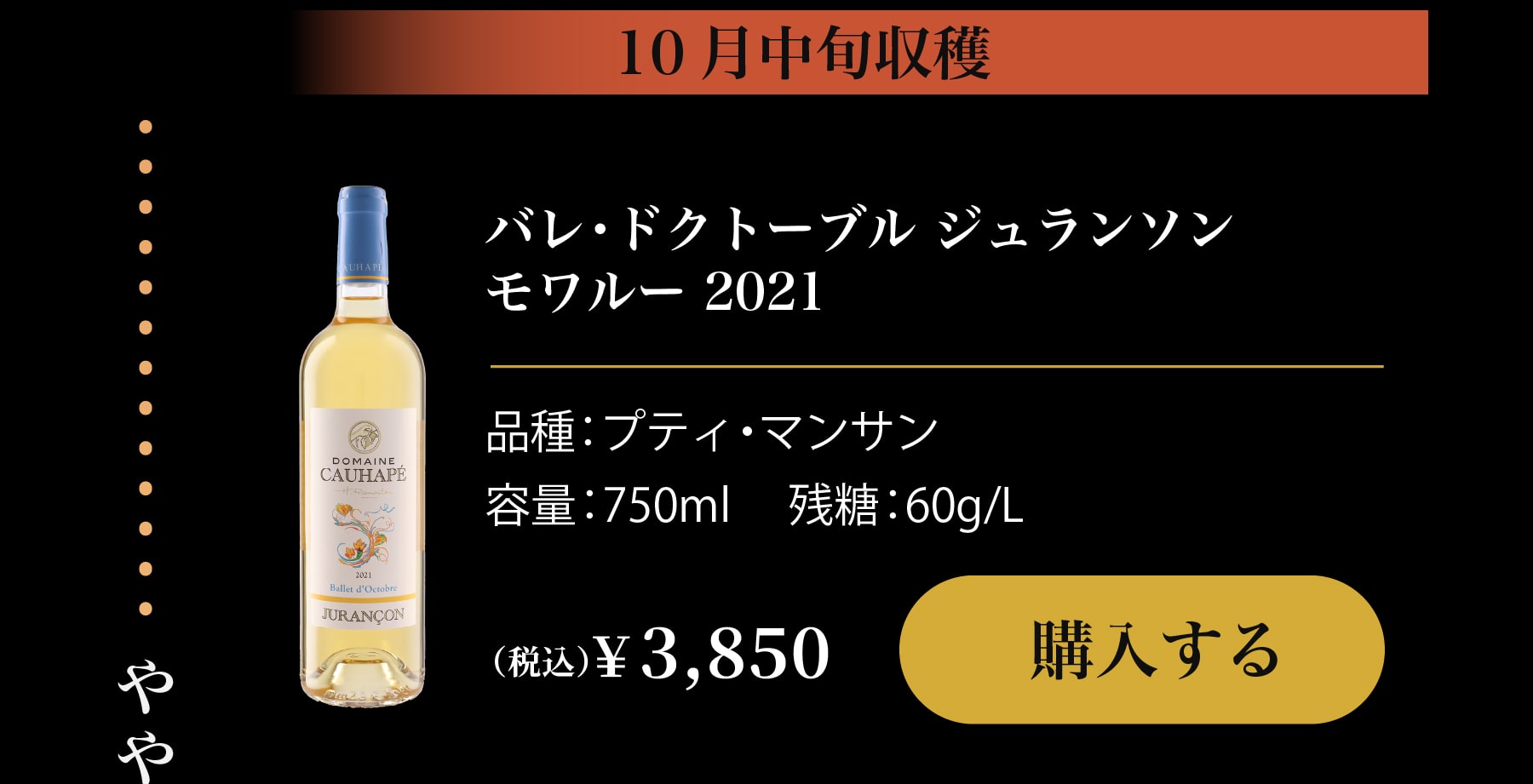 バレ・ドクトーブルフル入荷