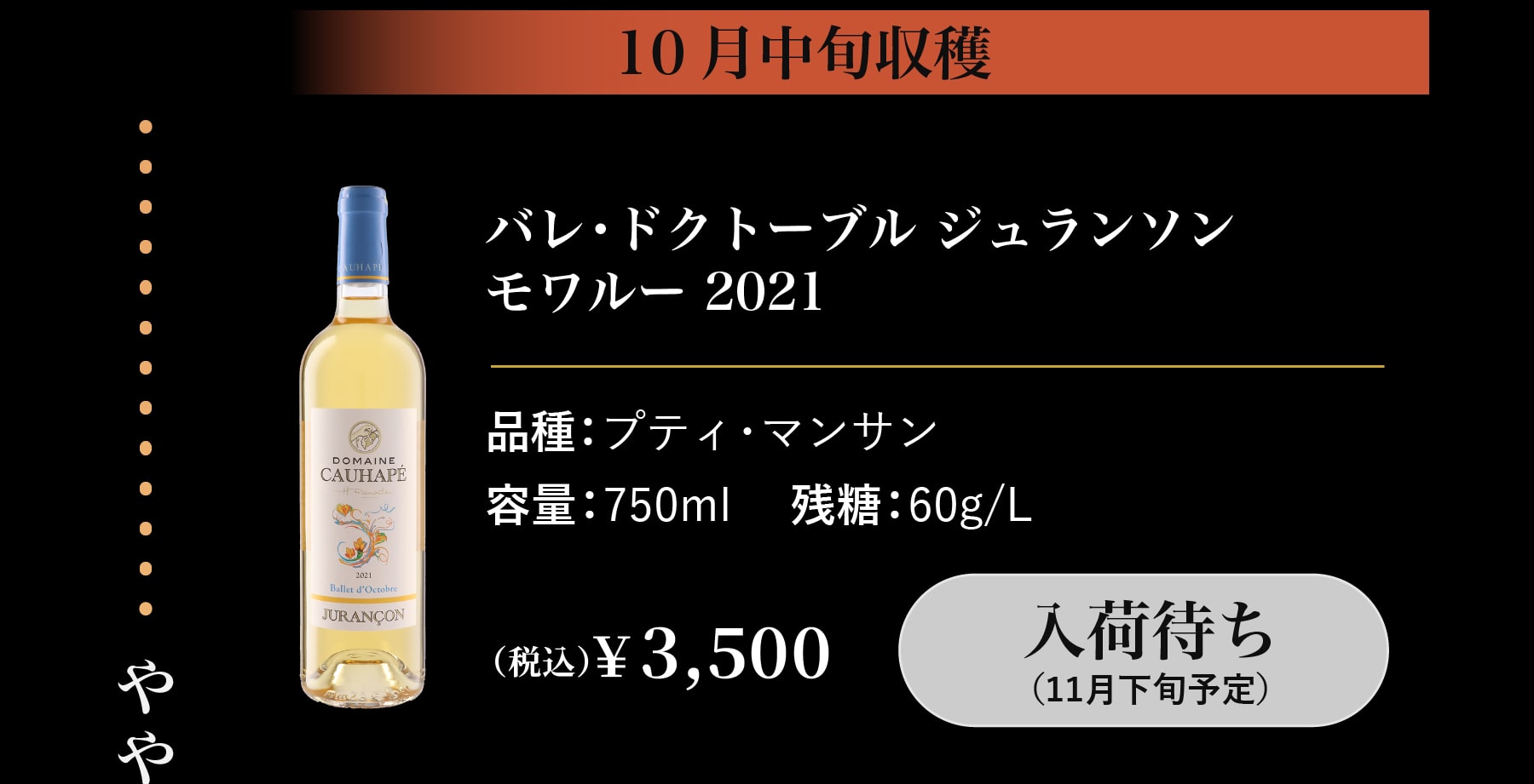 バレ・ドクトーブルフル入荷待ち