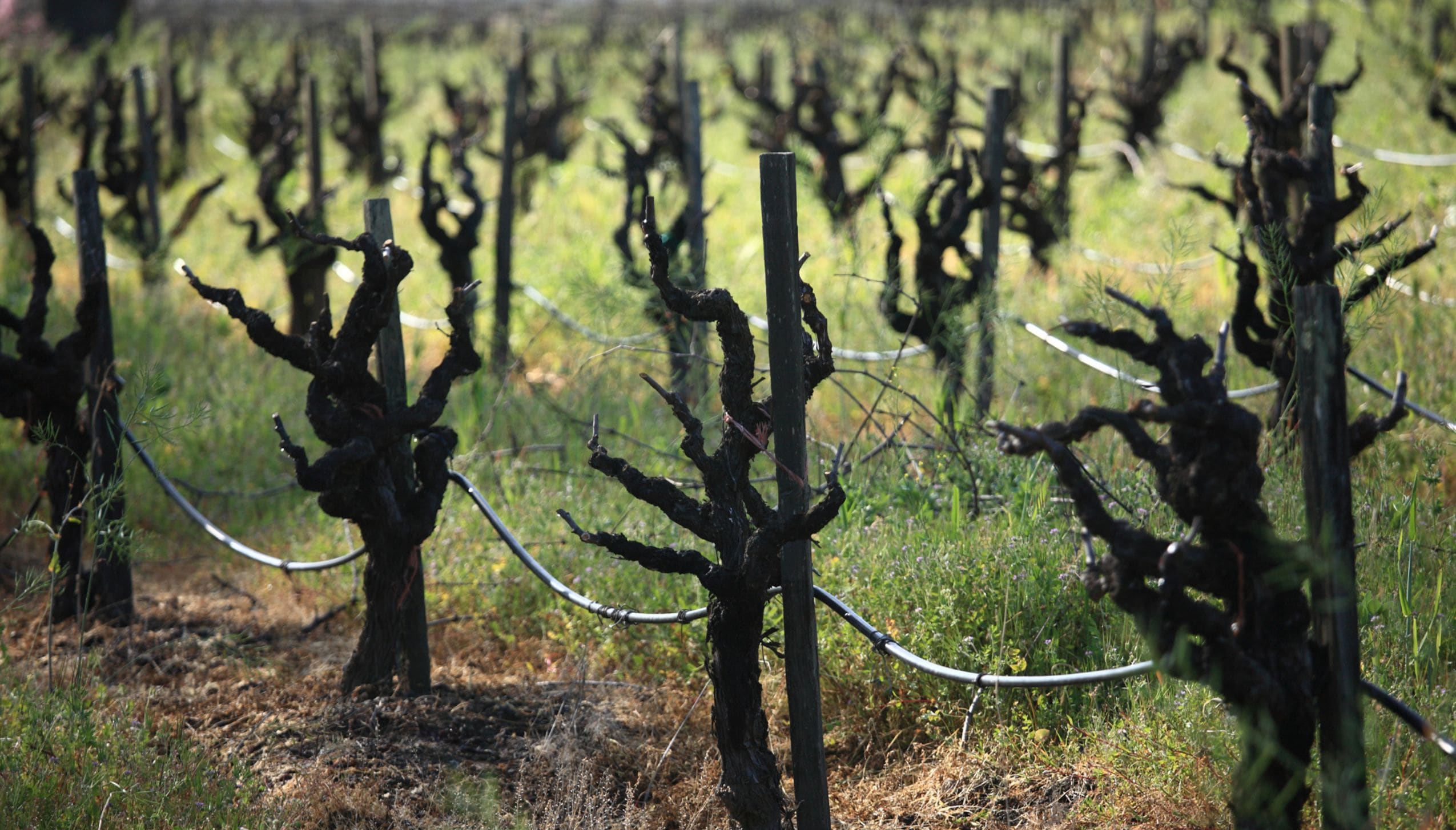 アスルイガランサ