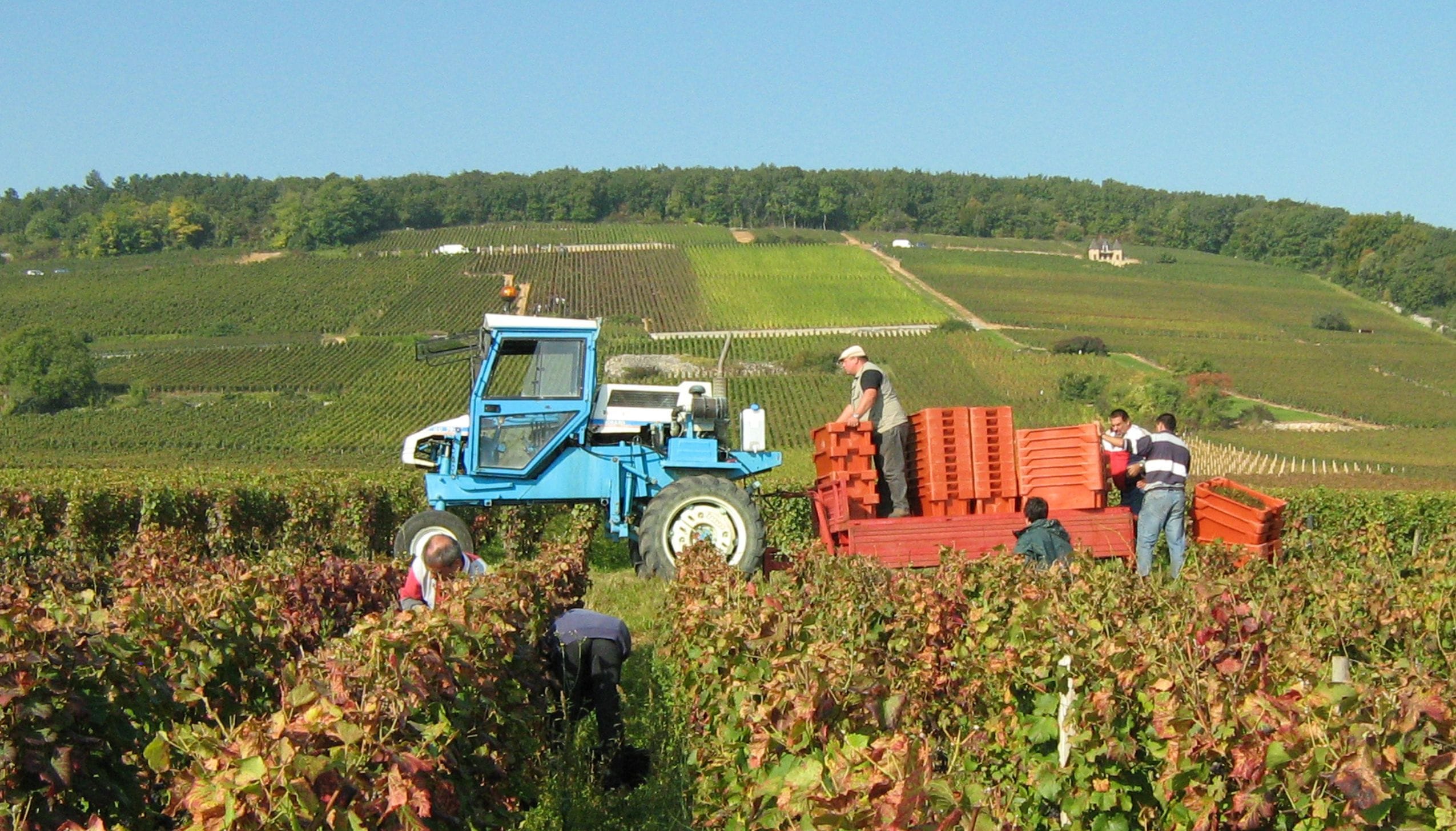 アスルイガランサ