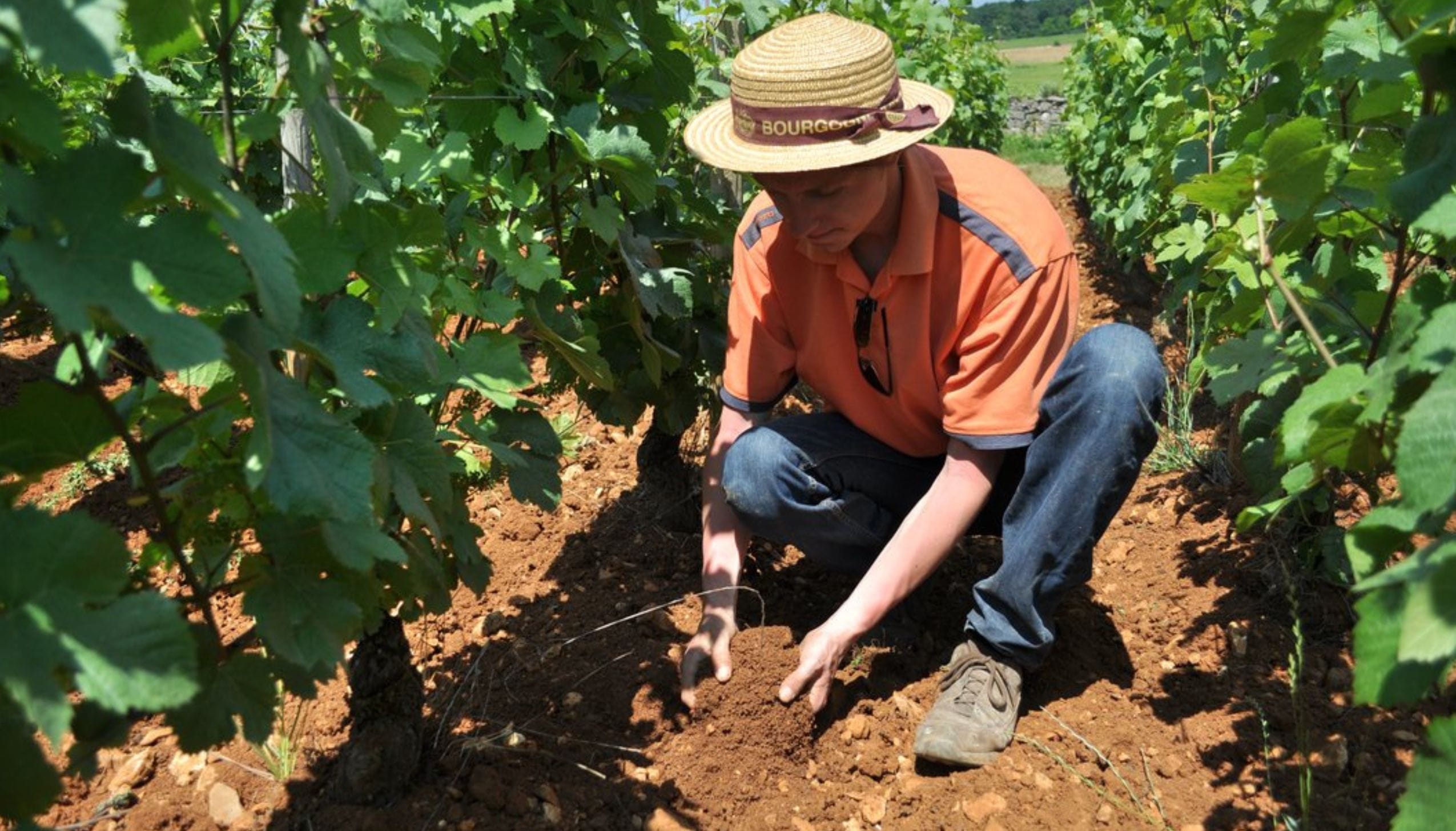 シルヴァン・ロワシェ