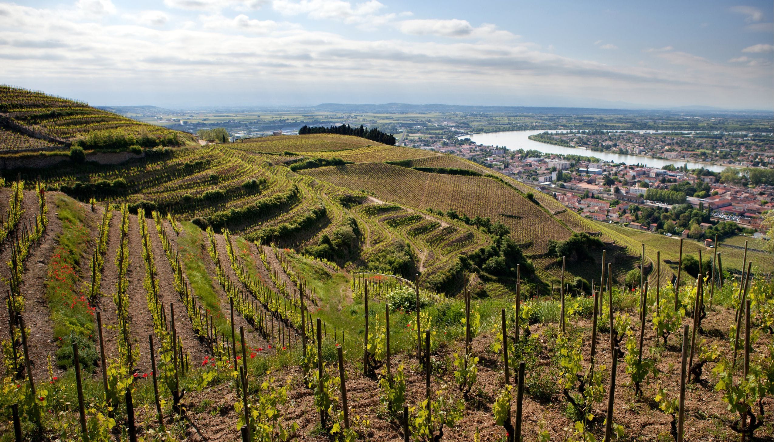 ポール・ジャヴレ・エネ