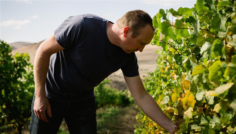 グレッツァー・ディクソン