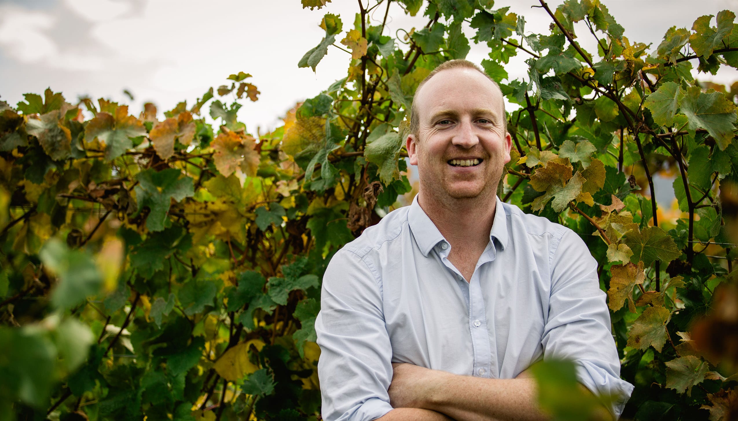 グレッツァー・ディクソン