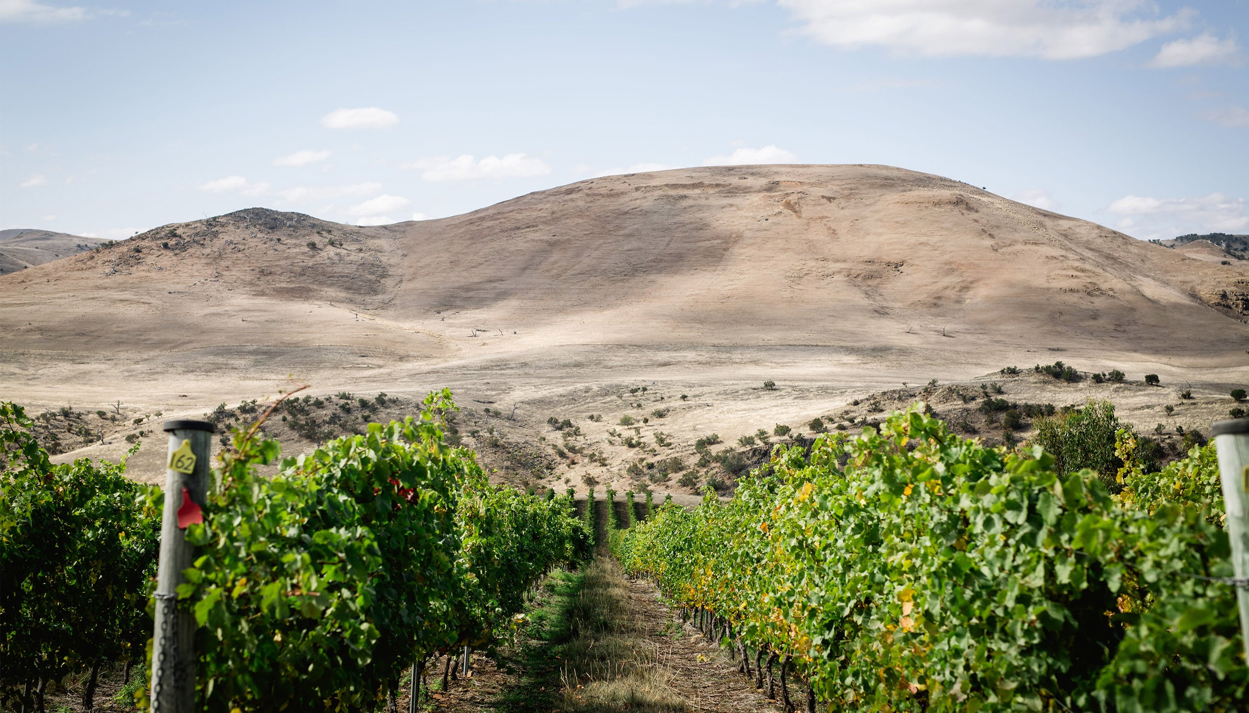 グレッツァー・ディクソン