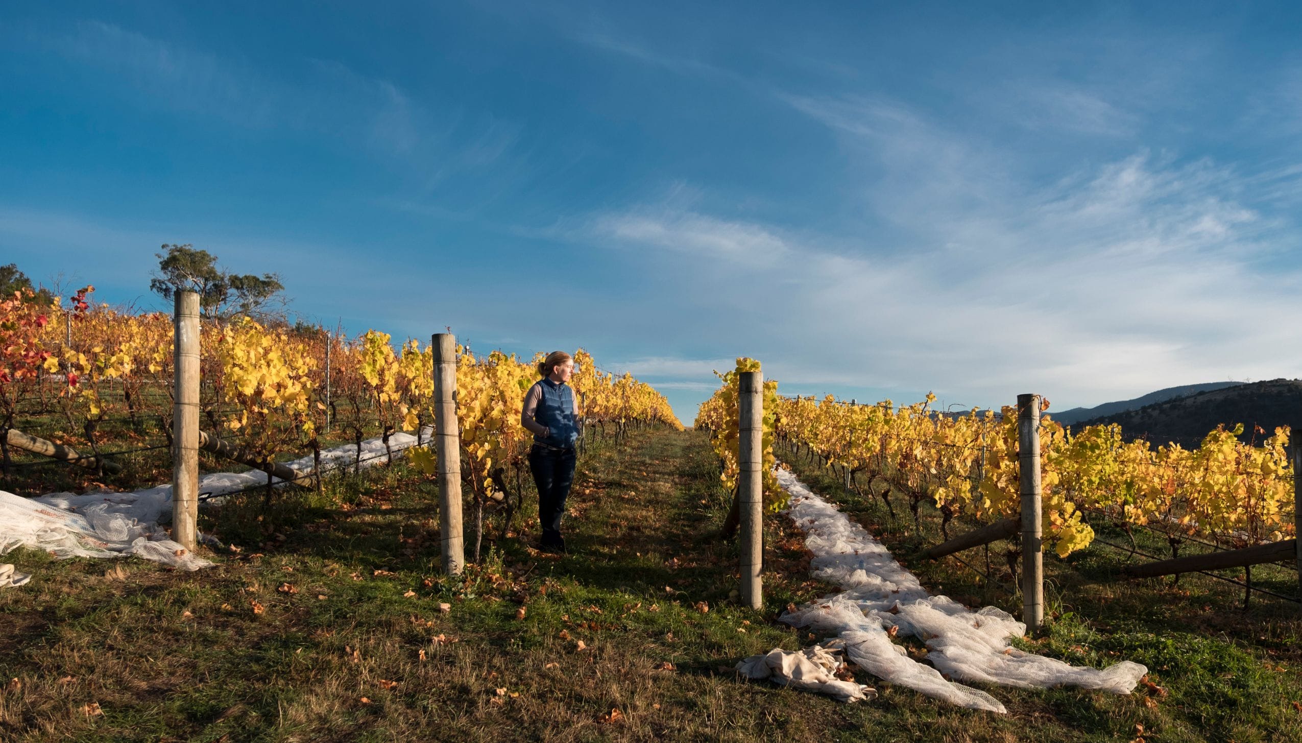 アスルイガランサ