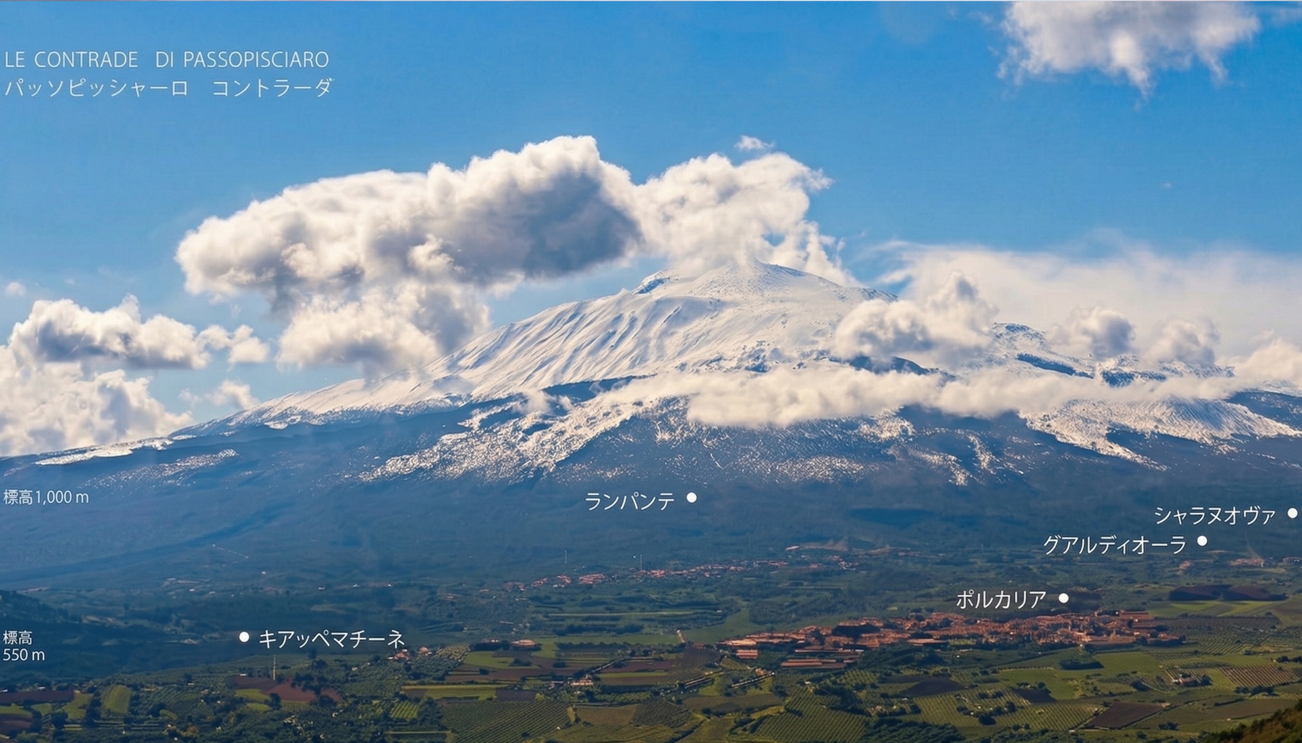 エトナ山とコントラーダ