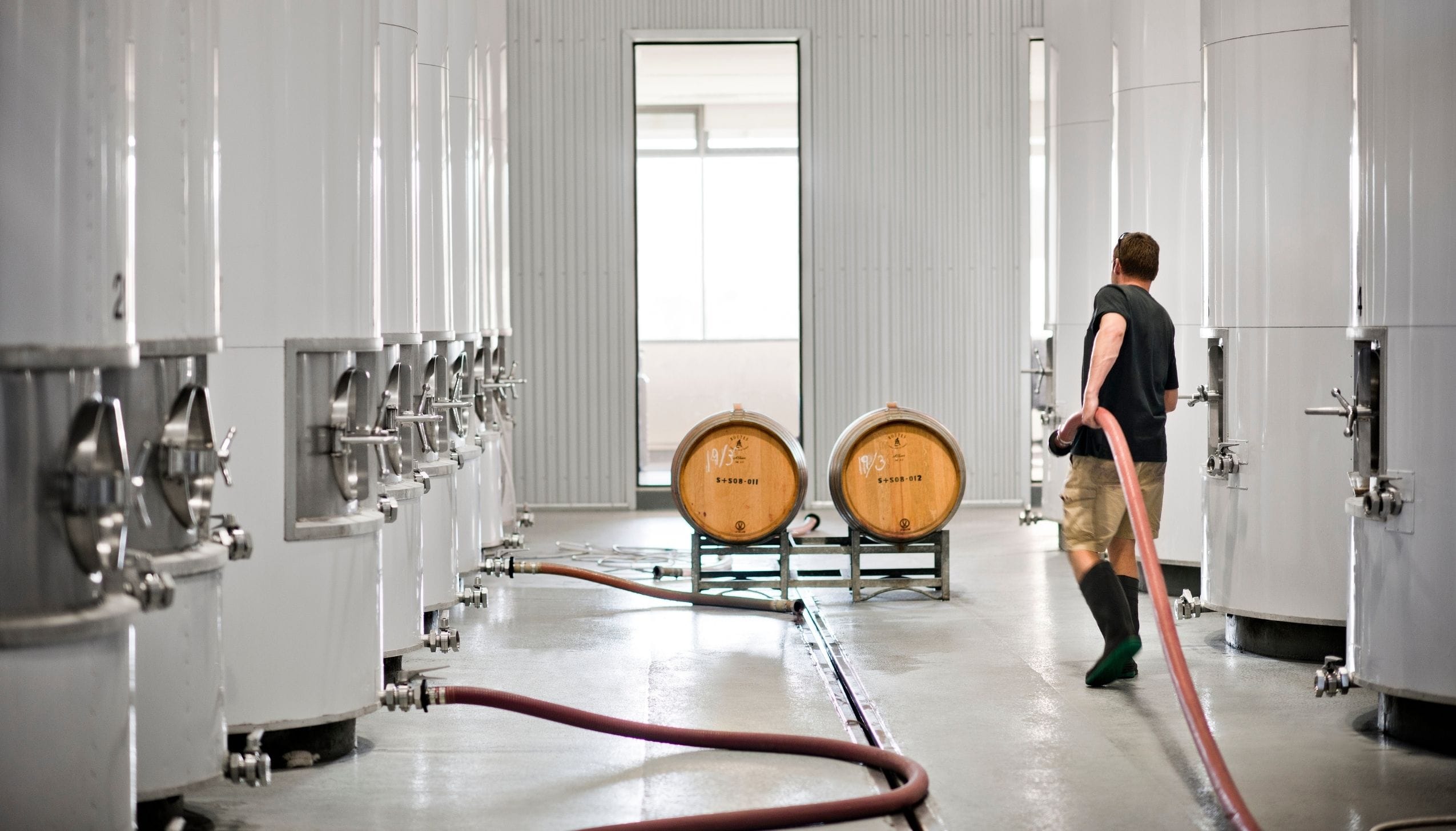 ショウアンドスミス