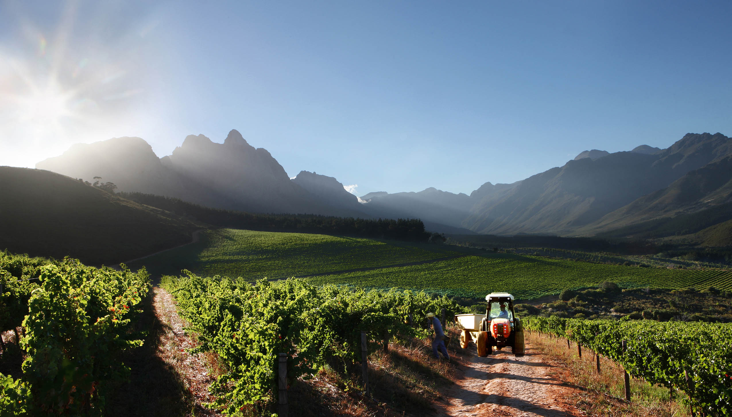 スターク・コンデ・ワインズ